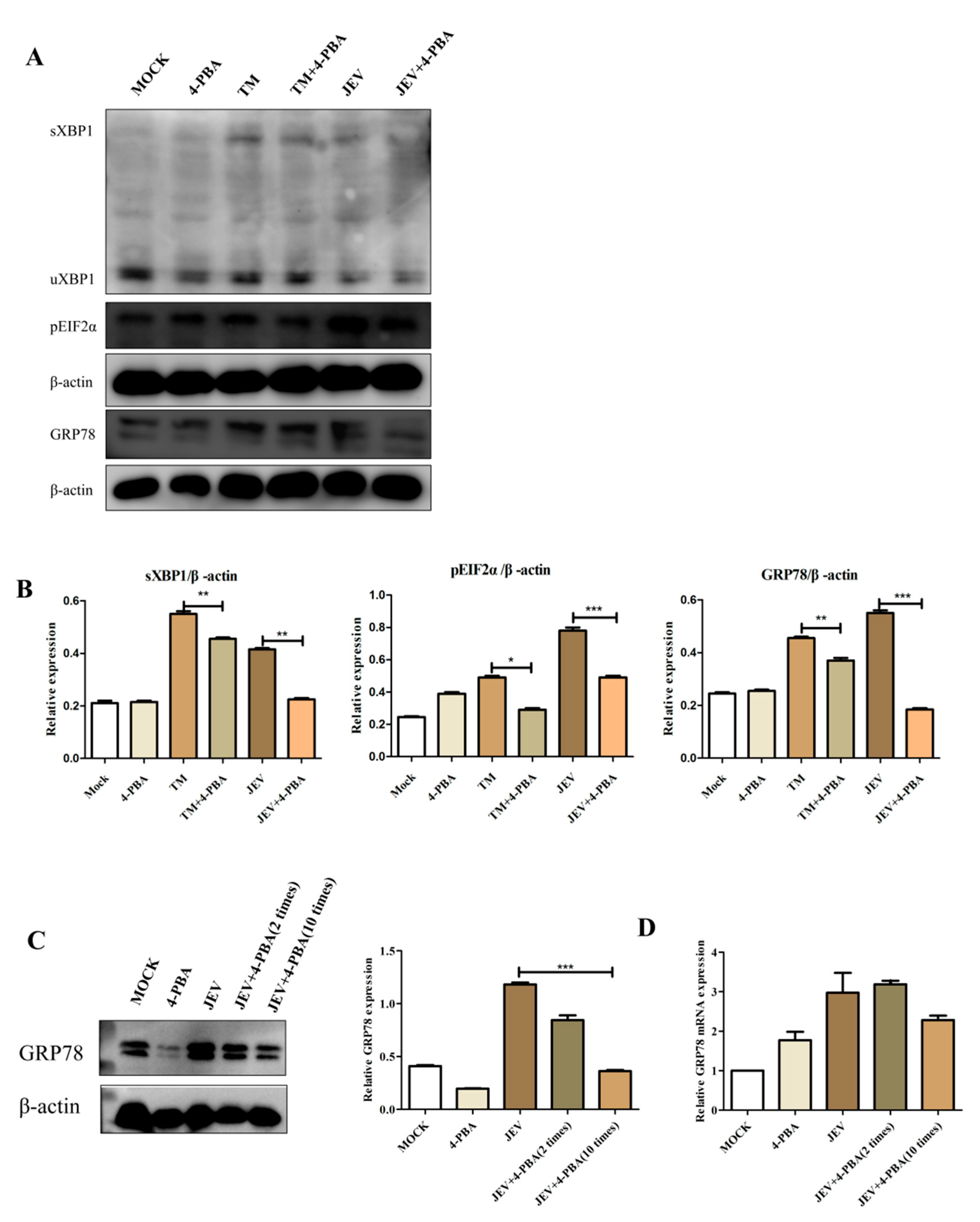 Viruses 15 00534 g003