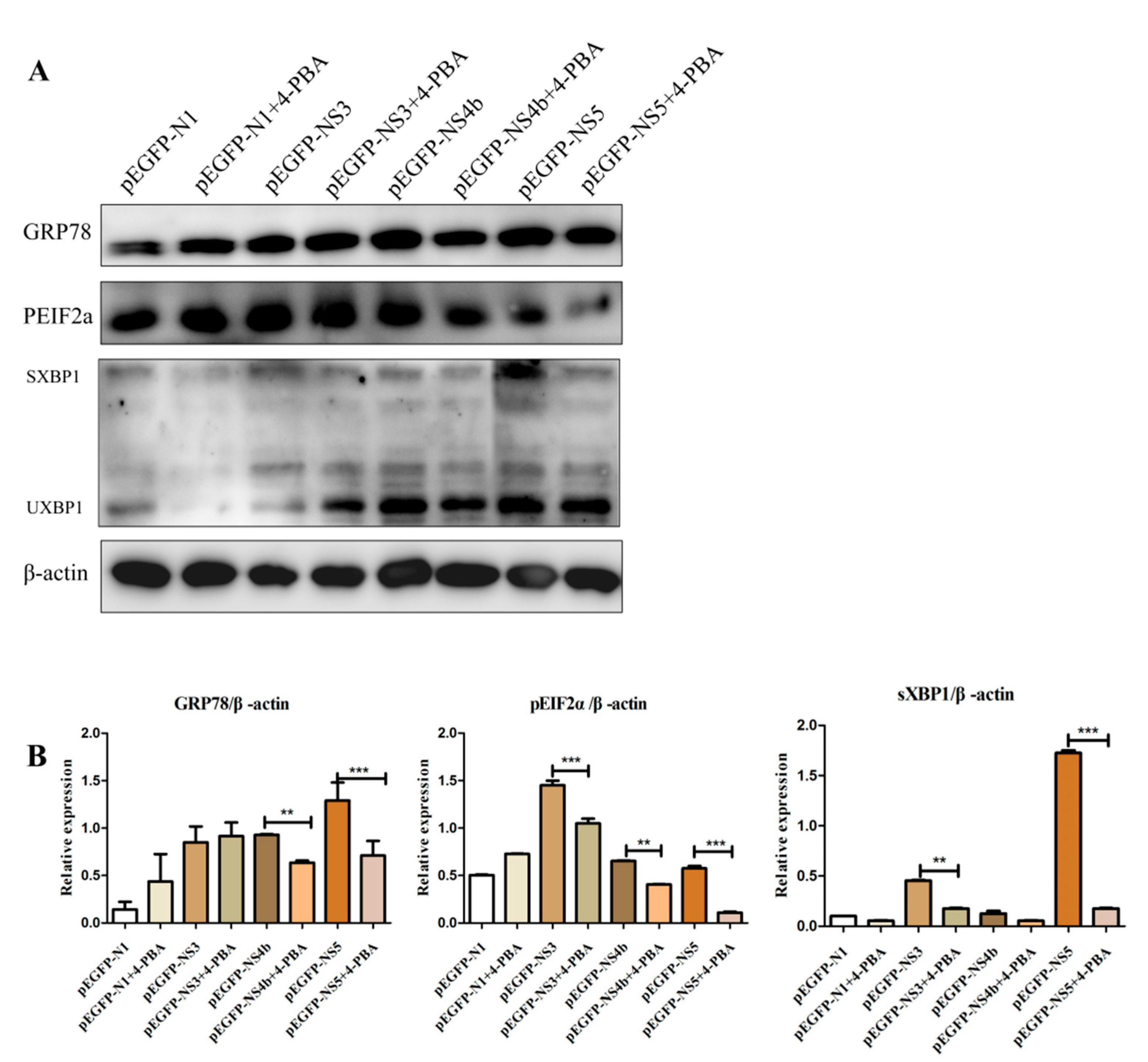 Viruses 15 00534 g004