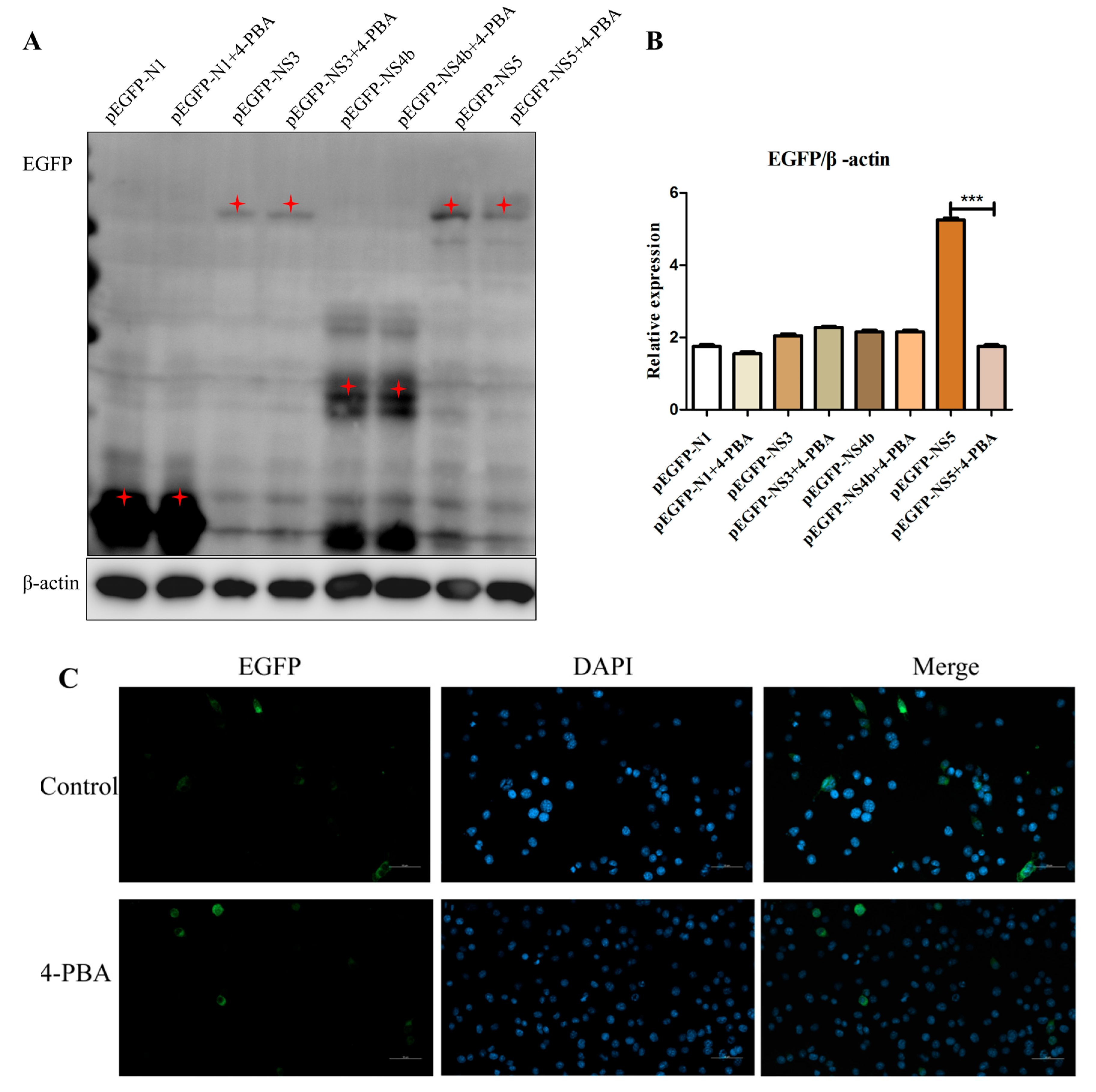 Viruses 15 00534 g005