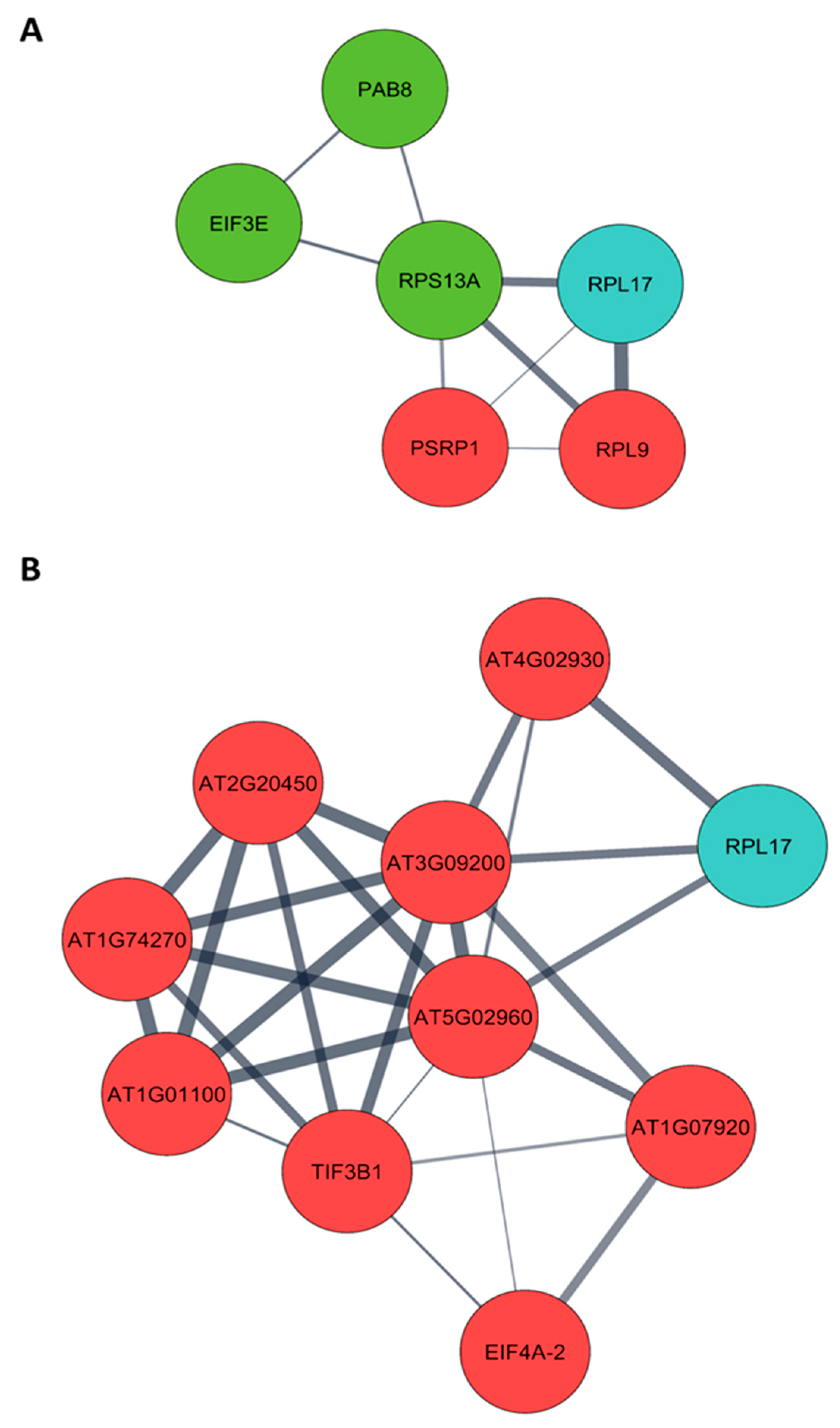 Viruses 15 00541 g003