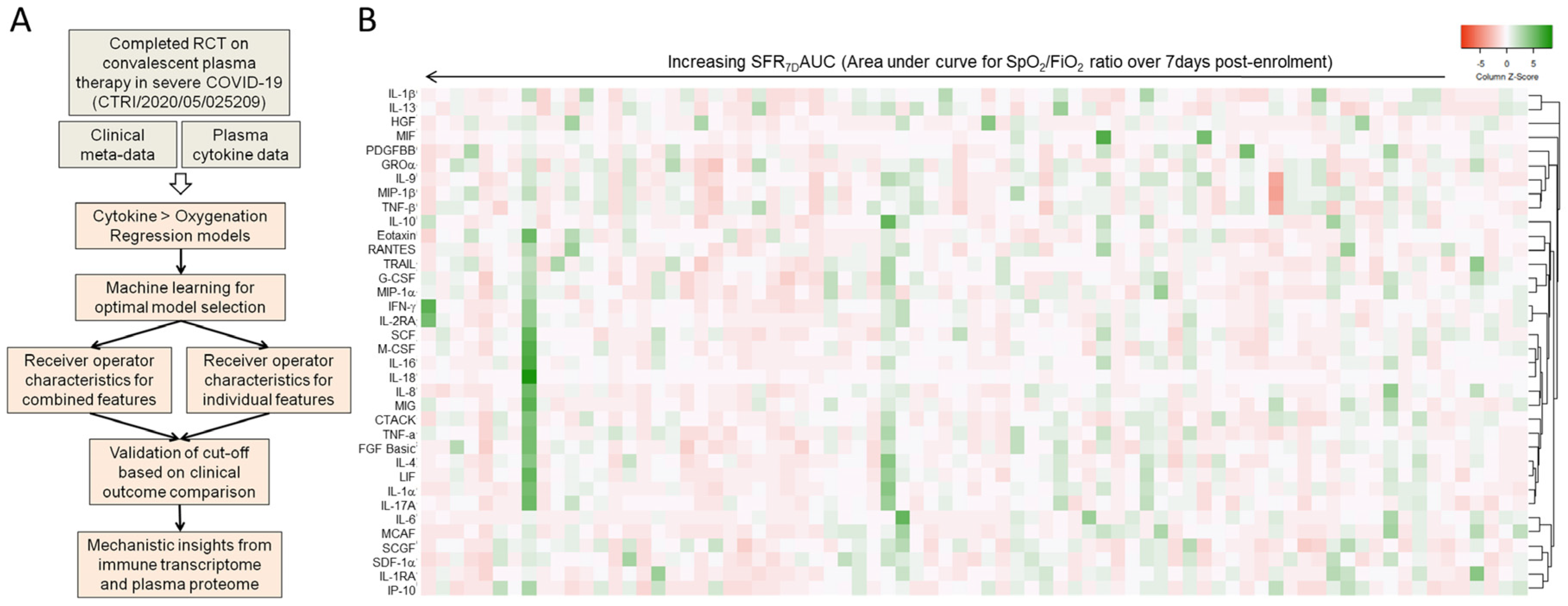 Viruses 15 00549 g001