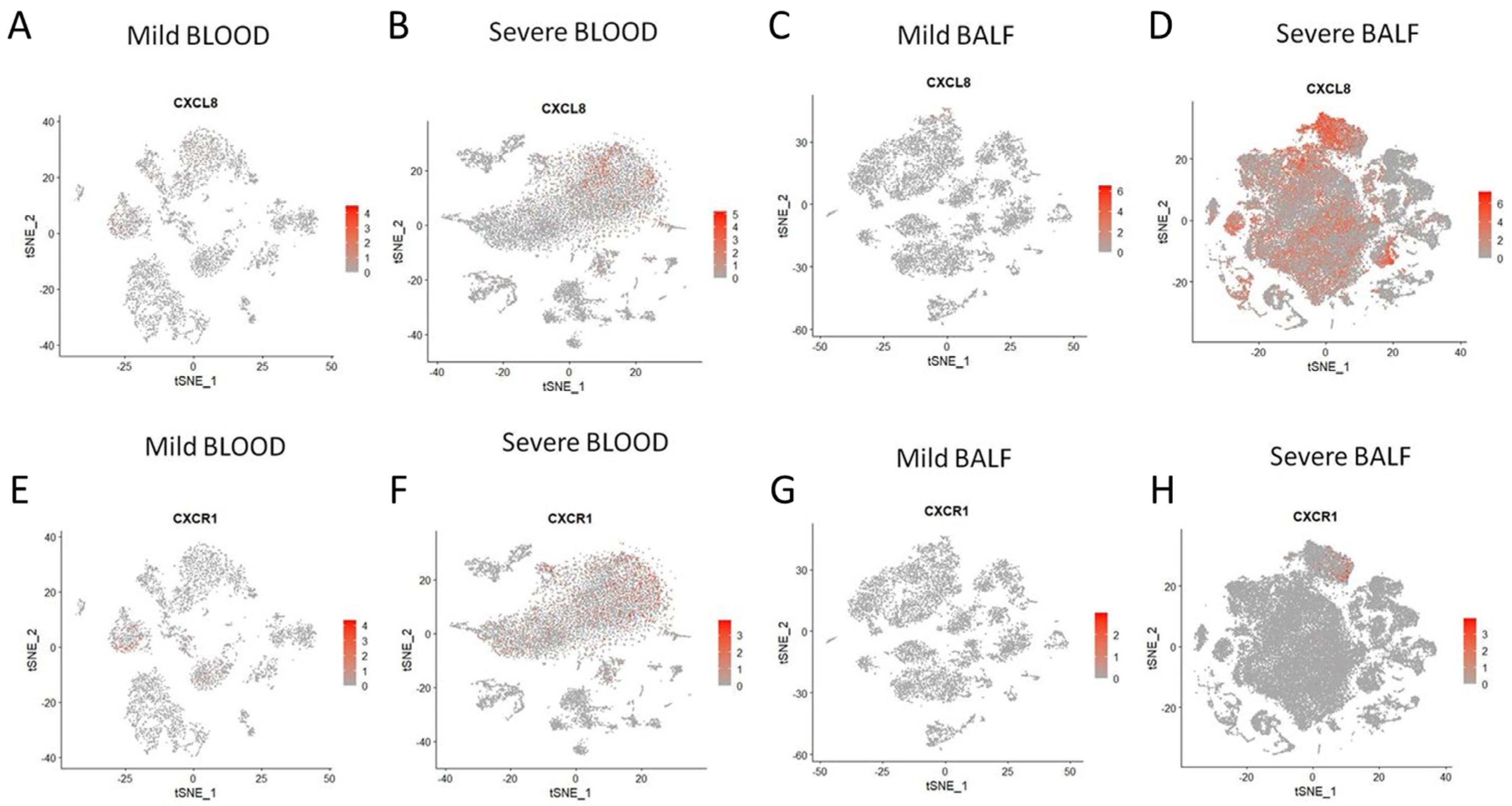 Viruses 15 00549 g004