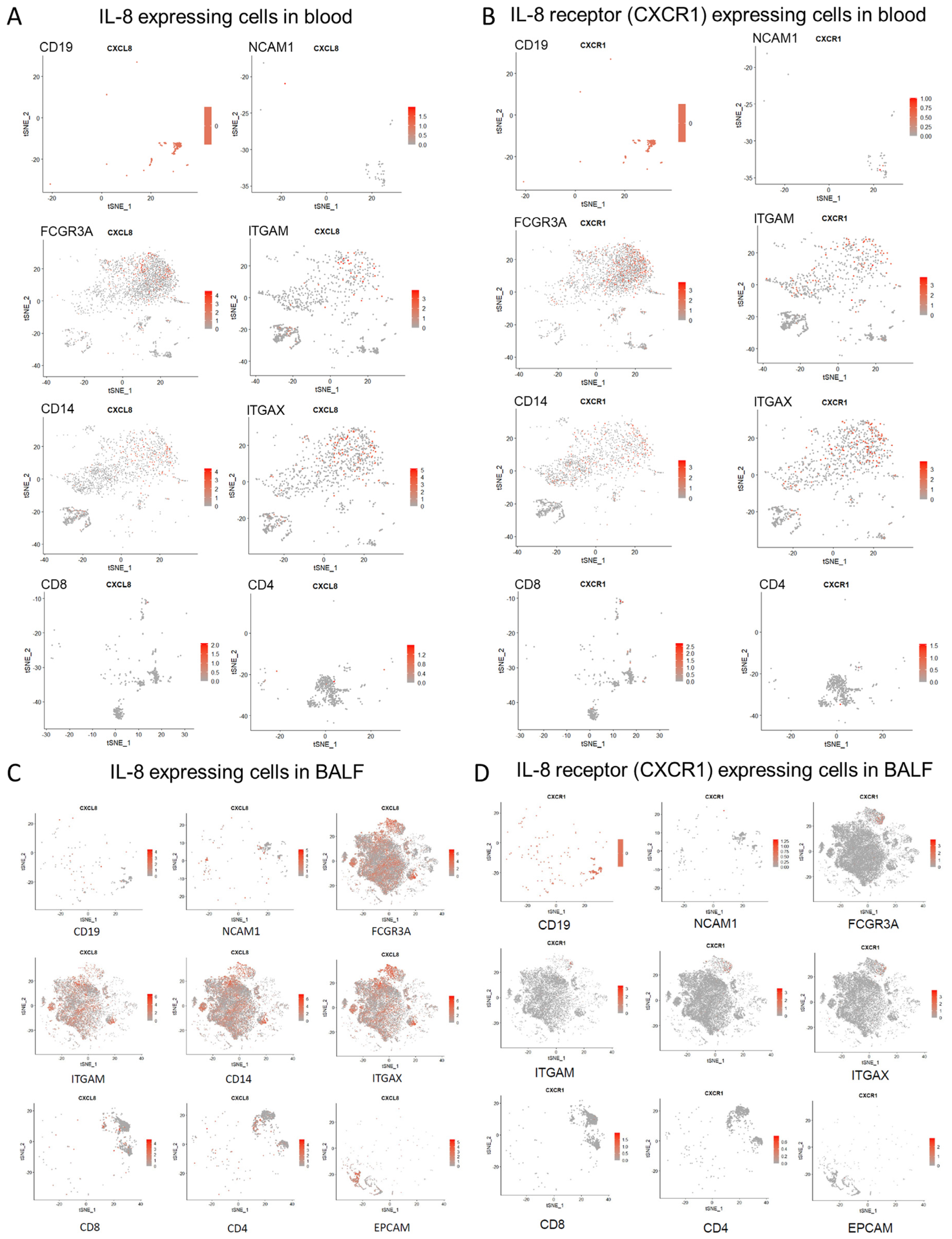 Viruses 15 00549 g005