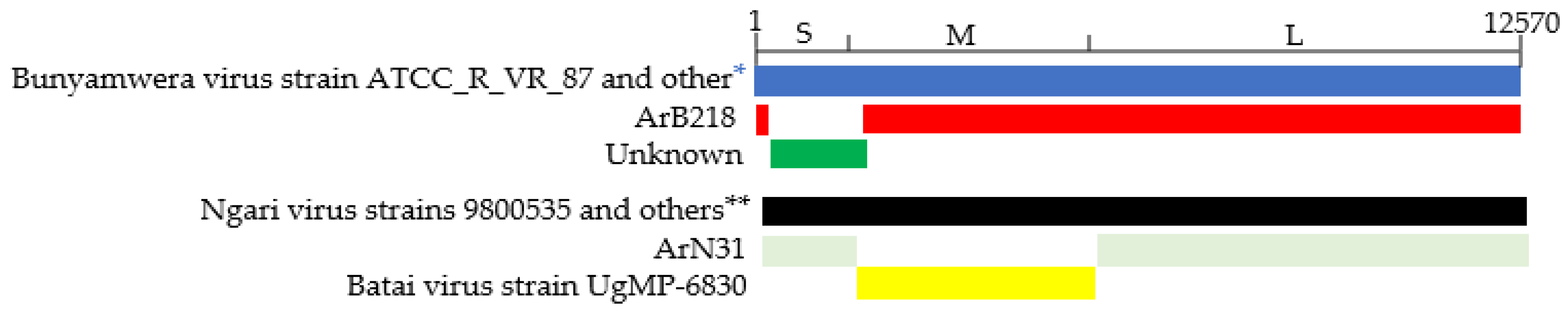 Viruses 15 00550 g001 Viruses 15 00550 g001