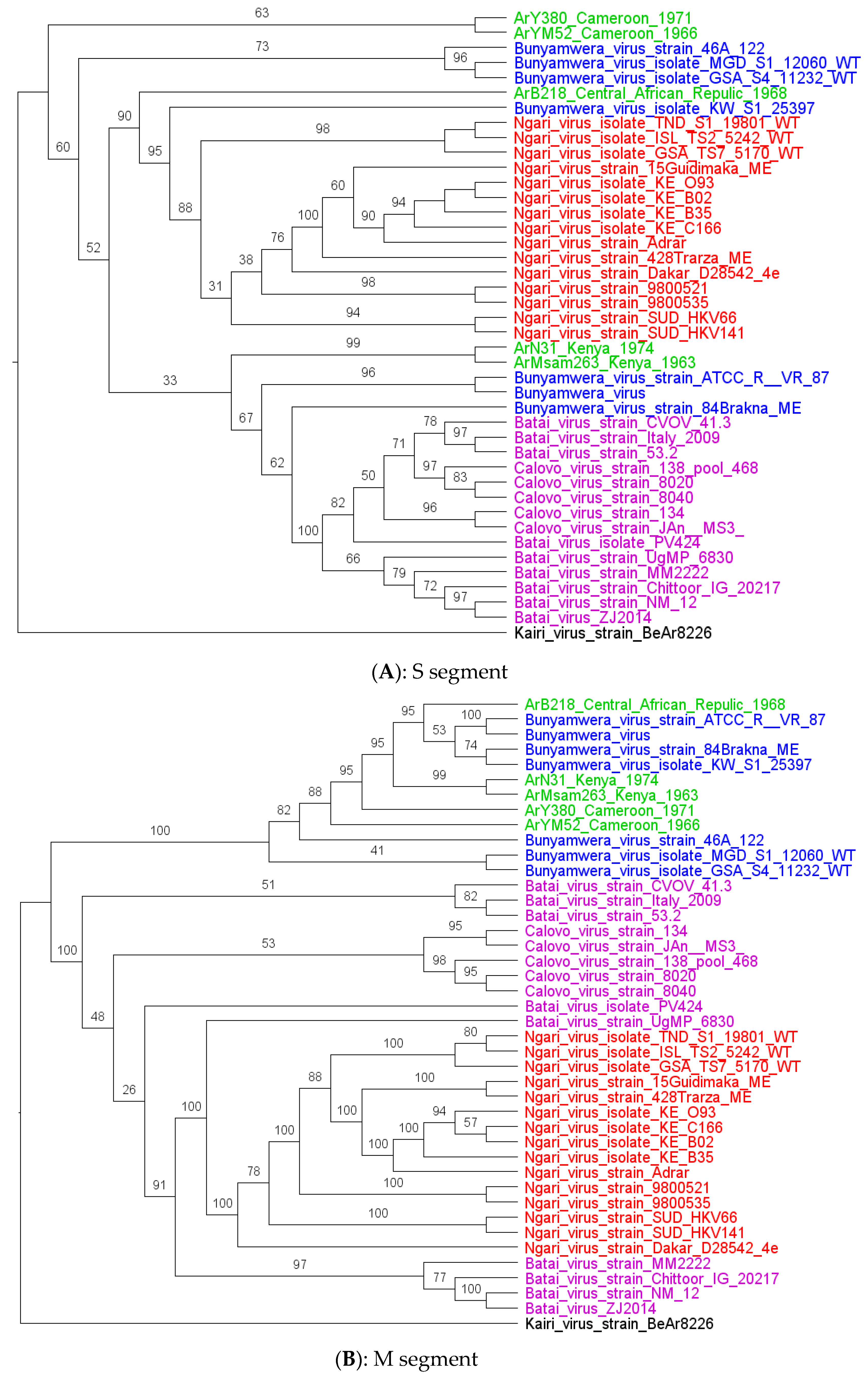 Viruses 15 00550 g002a Viruses 15 00550 g002a