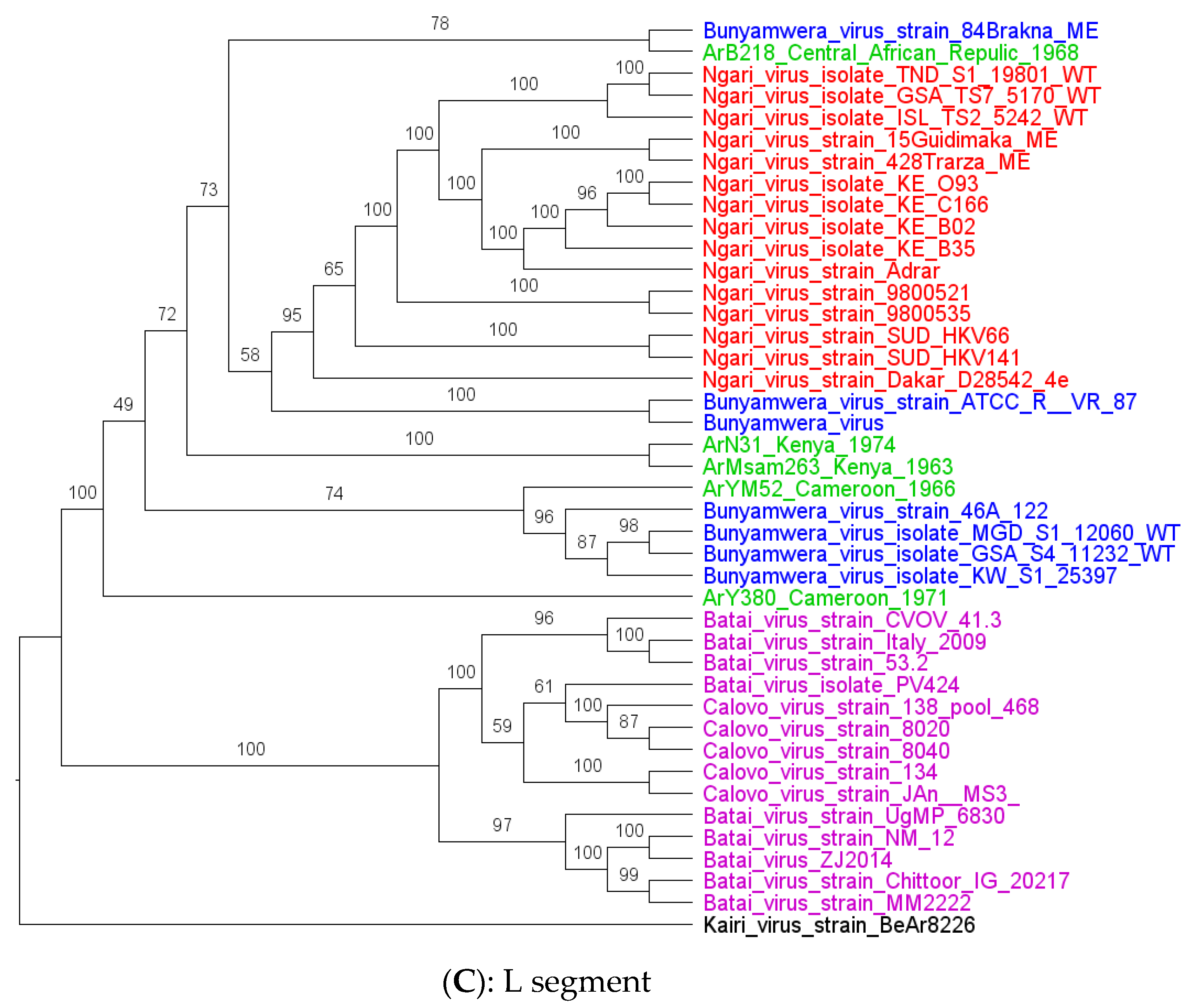 Viruses 15 00550 g002b Viruses 15 00550 g002b