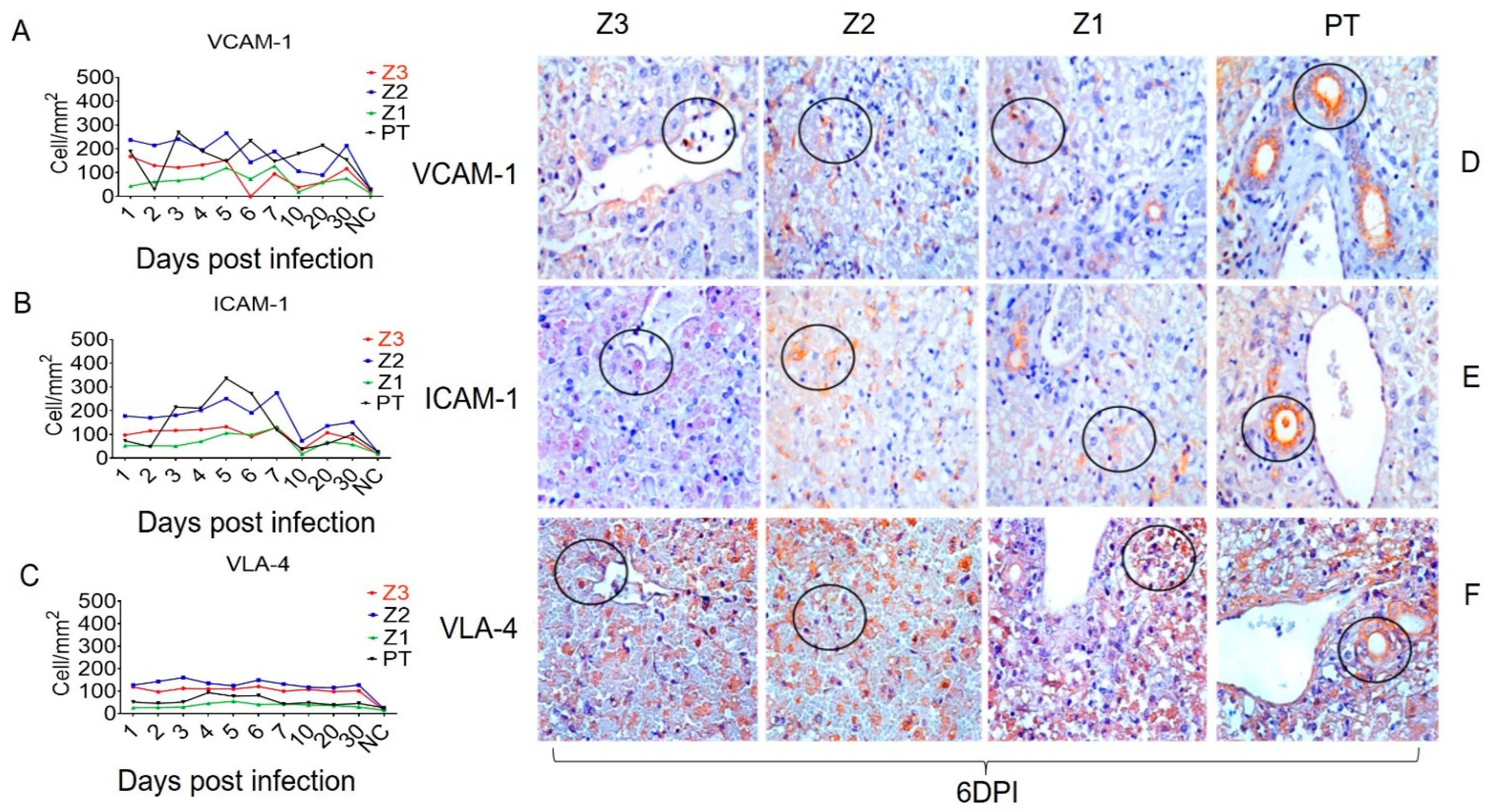 Viruses 15 00551 g003 Viruses 15 00551 g003