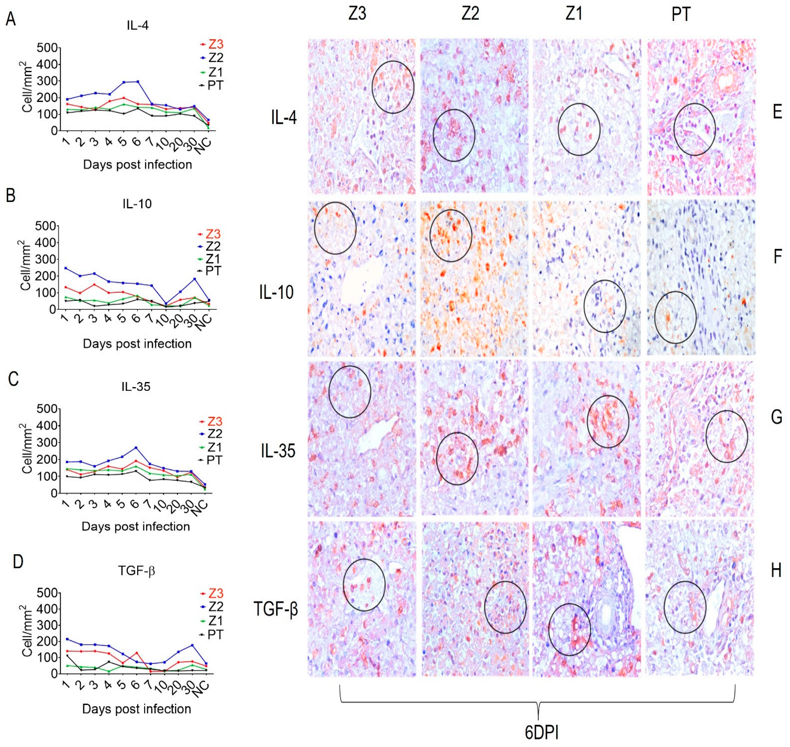 Viruses 15 00551 g006 Viruses 15 00551 g006