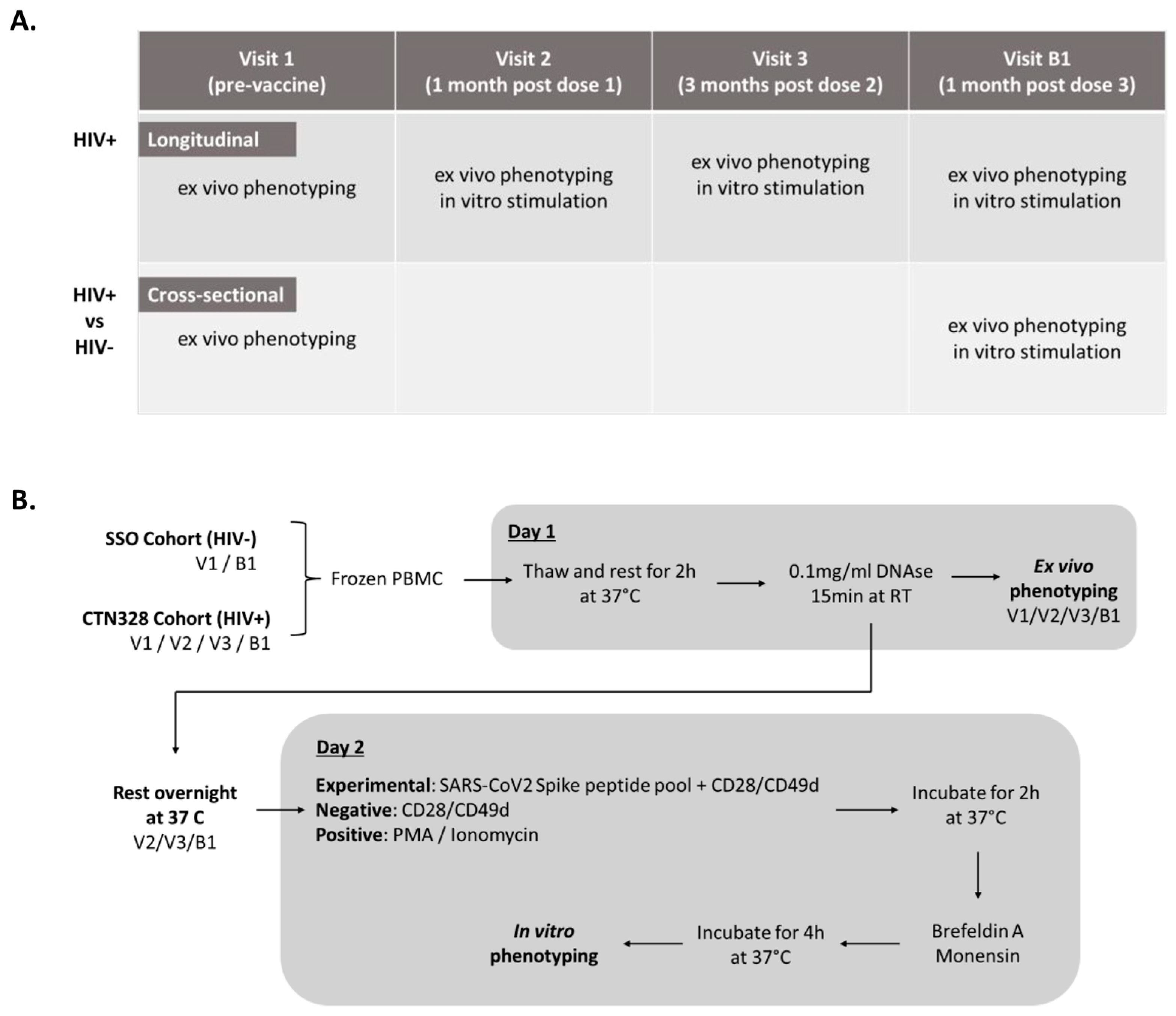 Viruses 15 00575 g001 Viruses 15 00575 g001