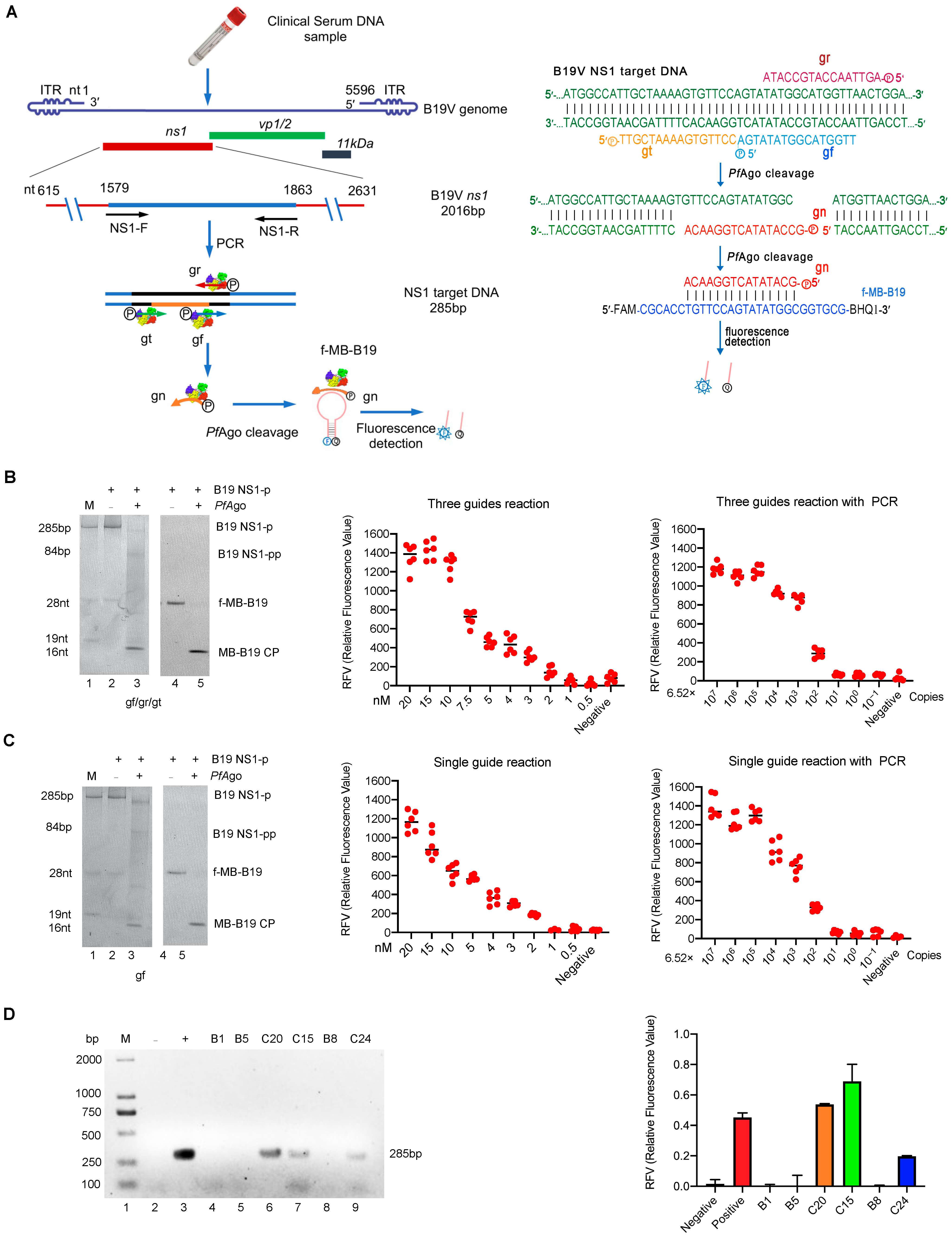 Viruses 15 00595 g001 Viruses 15 00595 g001
