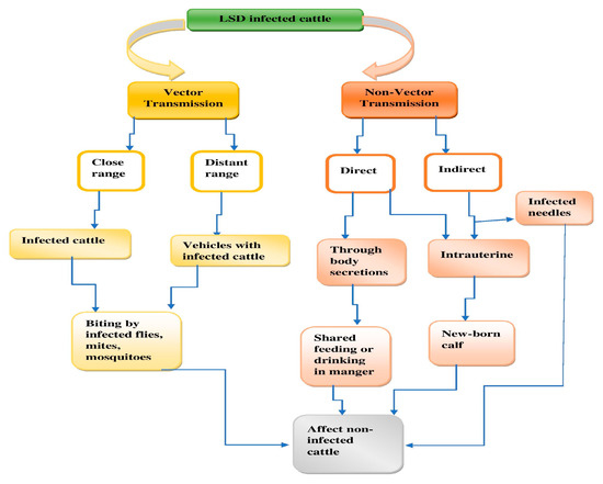 https://www.mdpi.com/viruses/viruses-15-00604/article_deploy/html/images/viruses-15-00604-g001-550.jpg