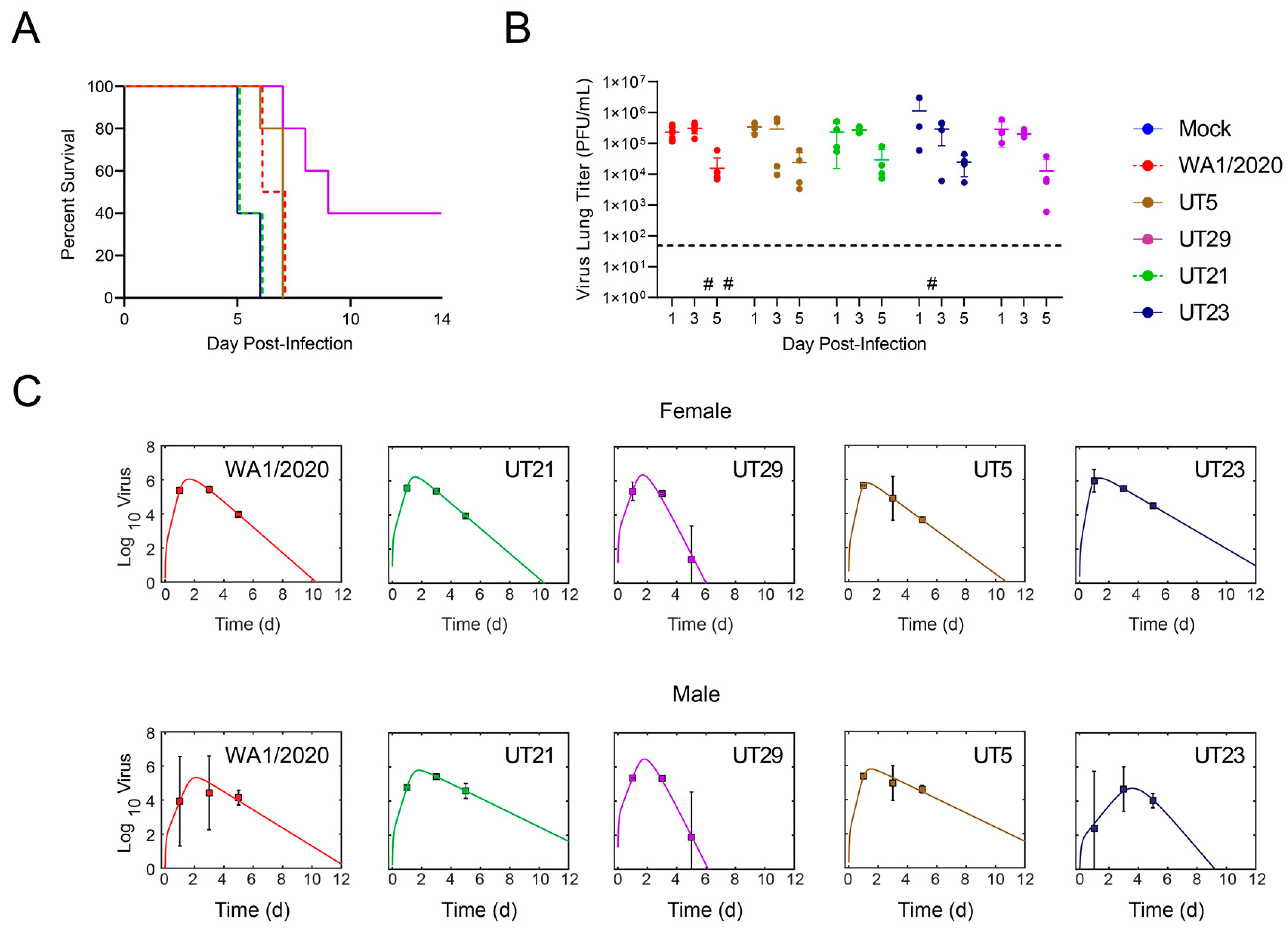 Viruses 15 00611 g003 Viruses 15 00611 g003