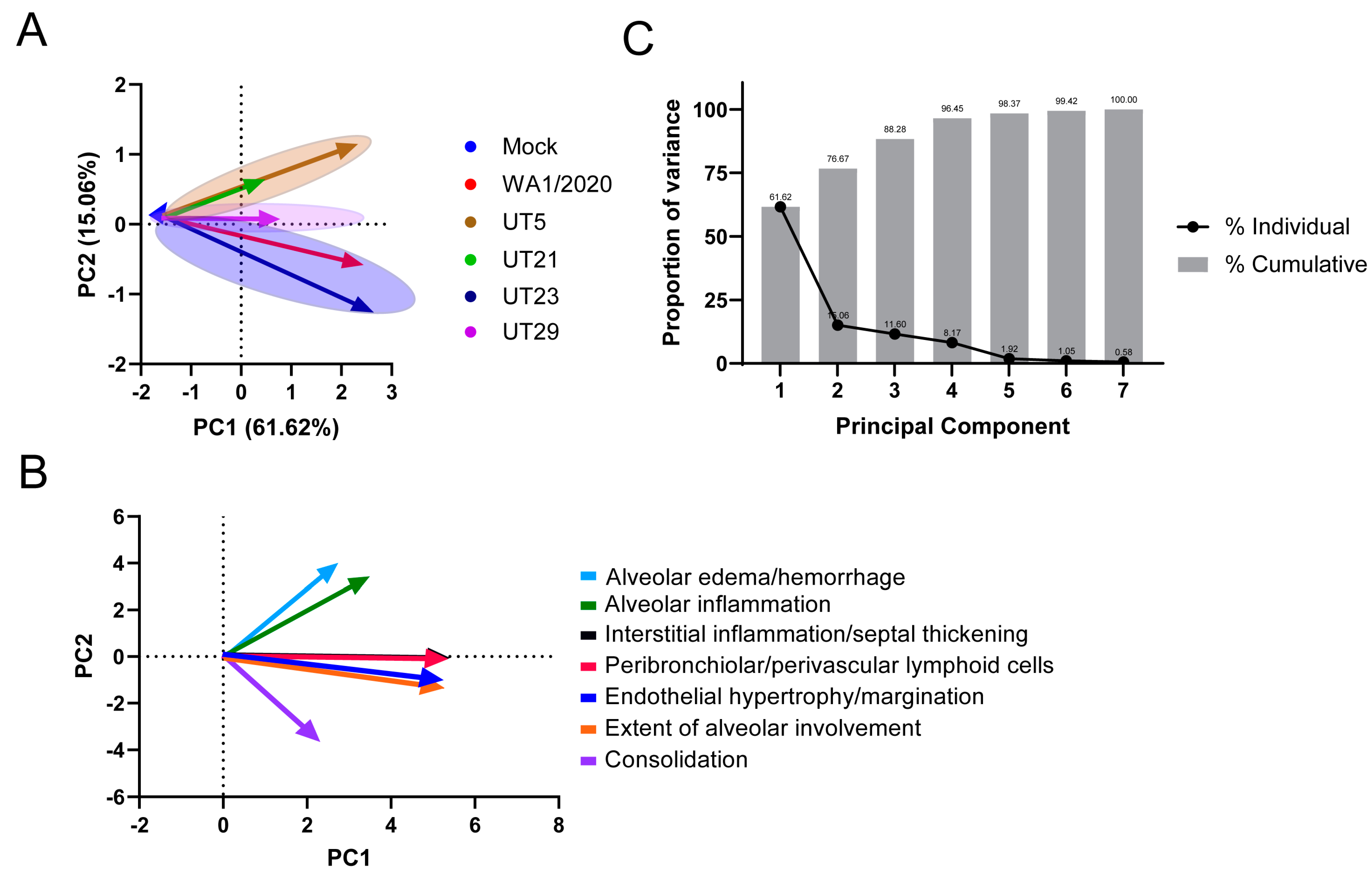 Viruses 15 00611 g006 Viruses 15 00611 g006