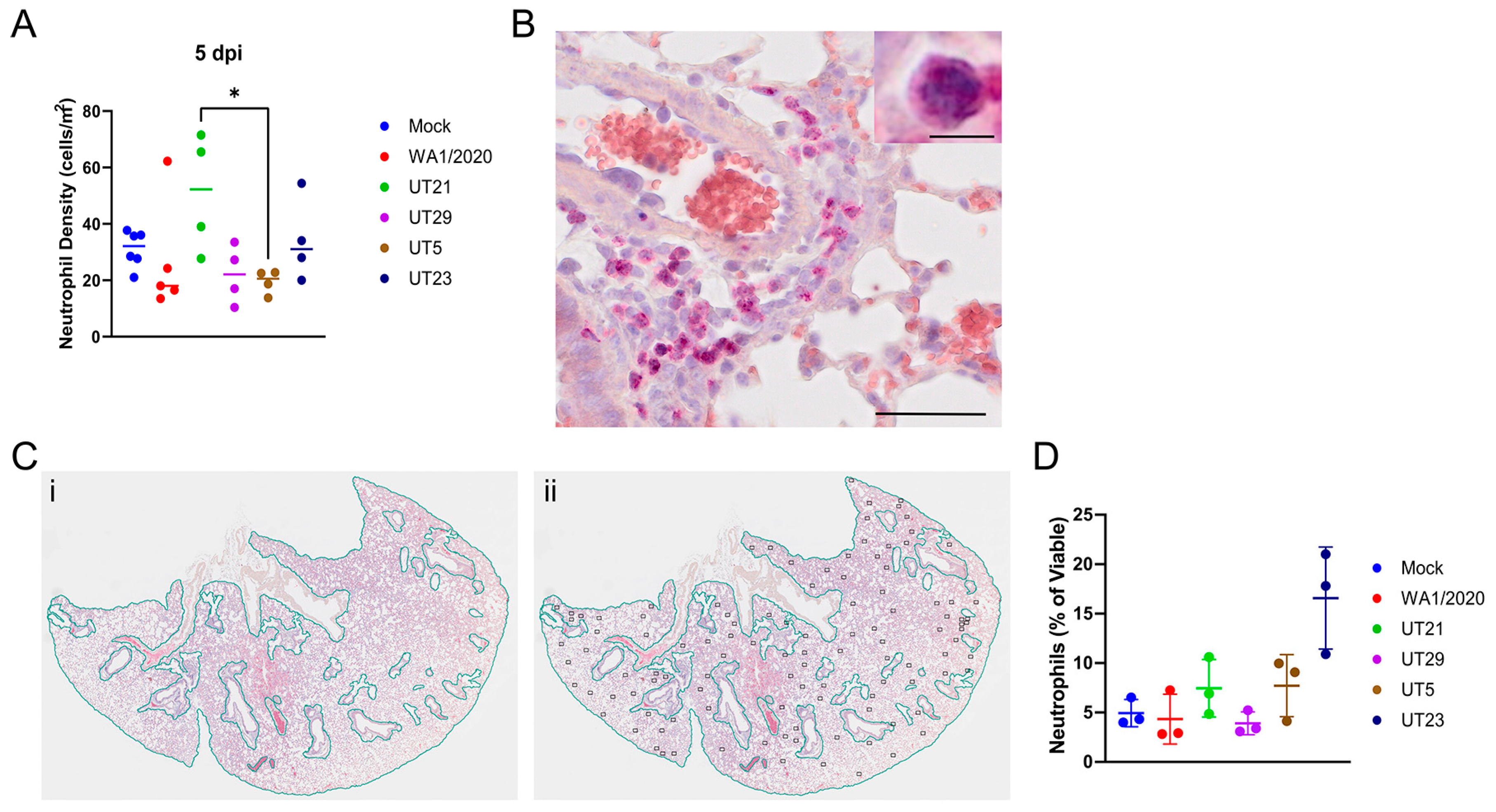Viruses 15 00611 g007 Viruses 15 00611 g007