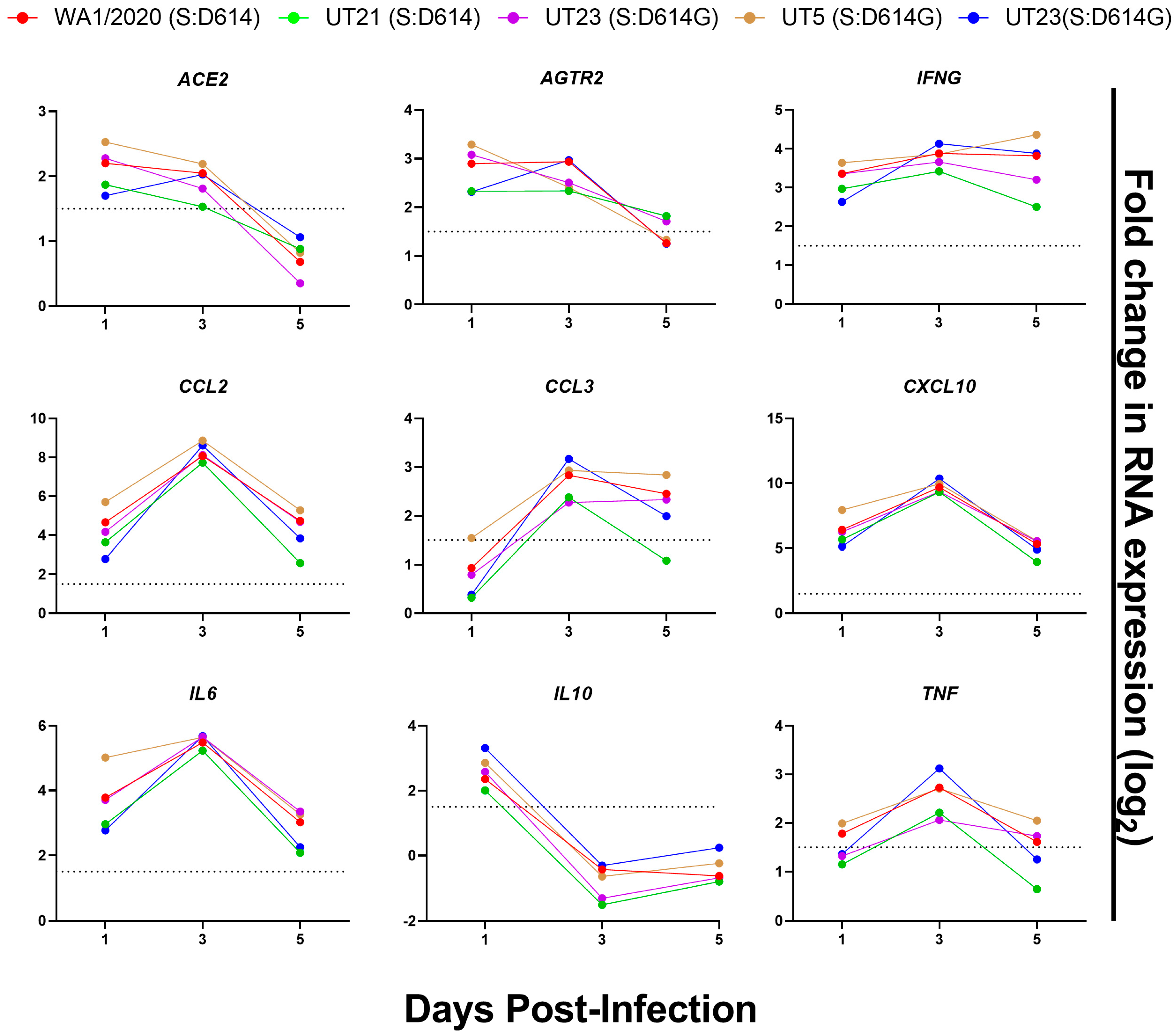 Viruses 15 00611 g009 Viruses 15 00611 g009