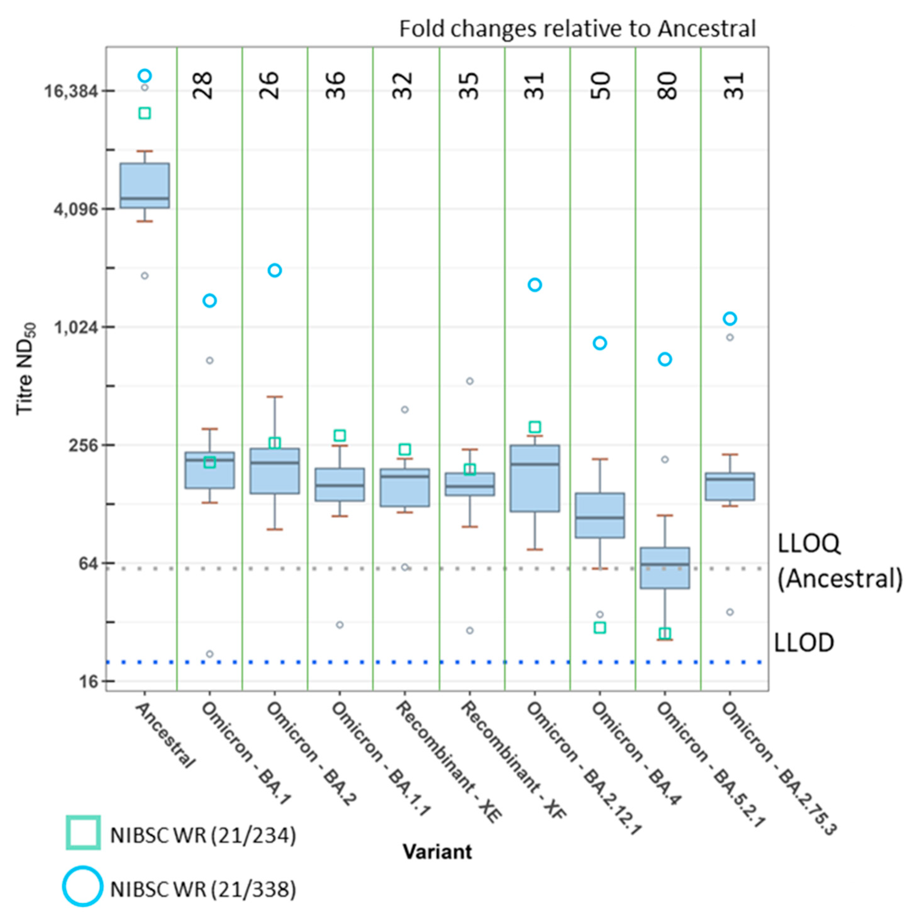 Viruses 15 00633 g002