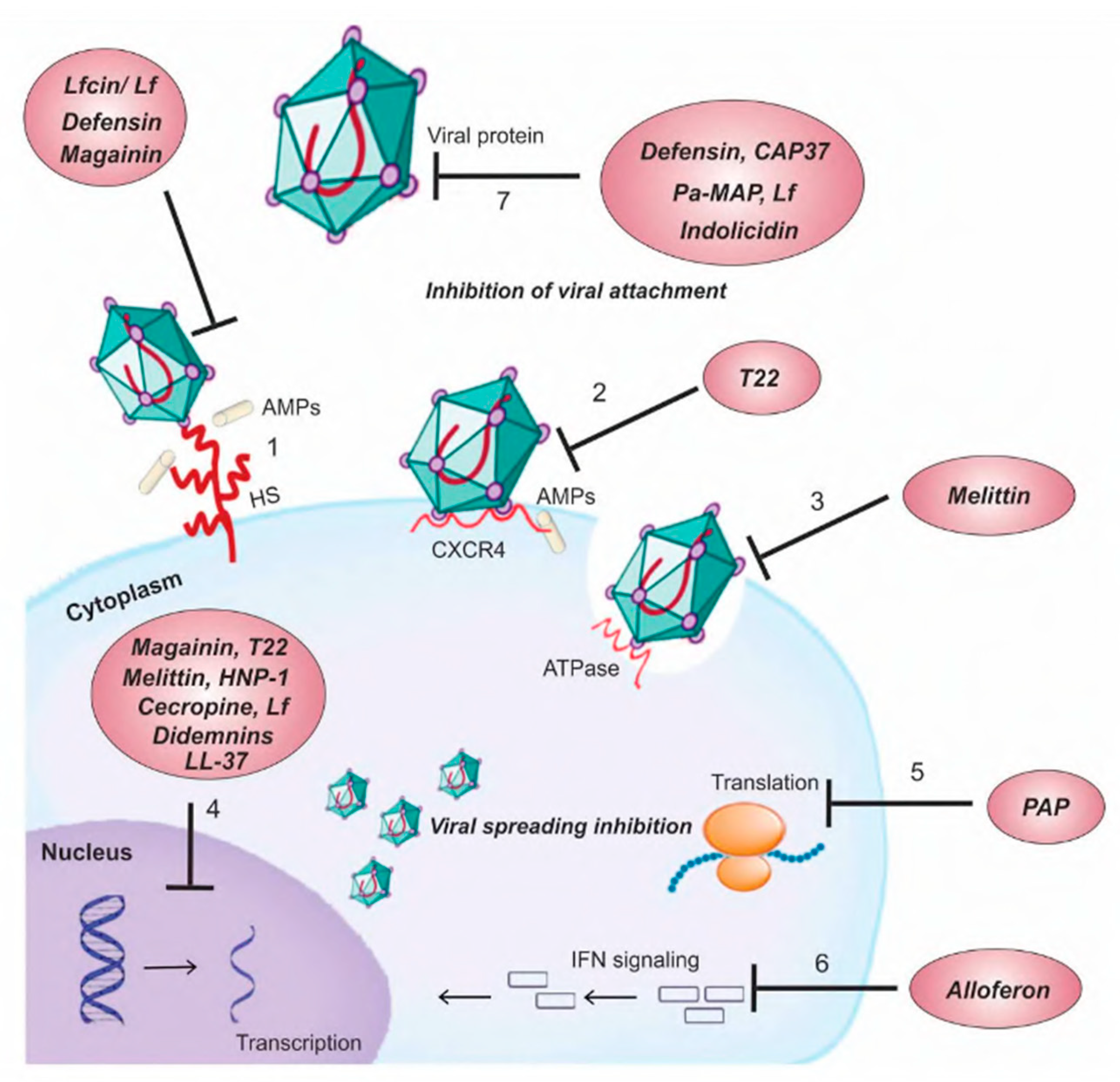 Viruses 15 00640 g008 Viruses 15 00640 g008