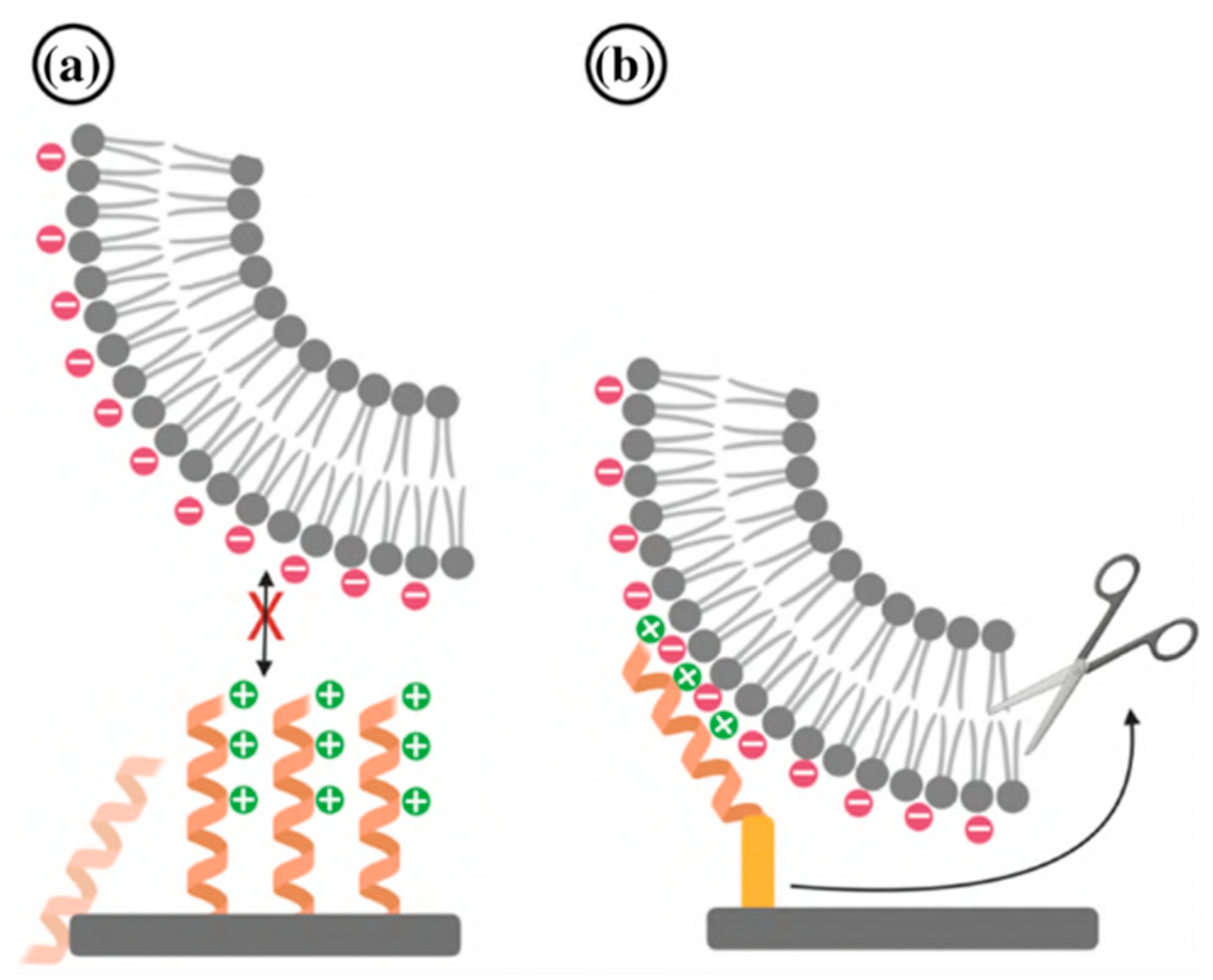 Viruses 15 00640 g011 Viruses 15 00640 g011