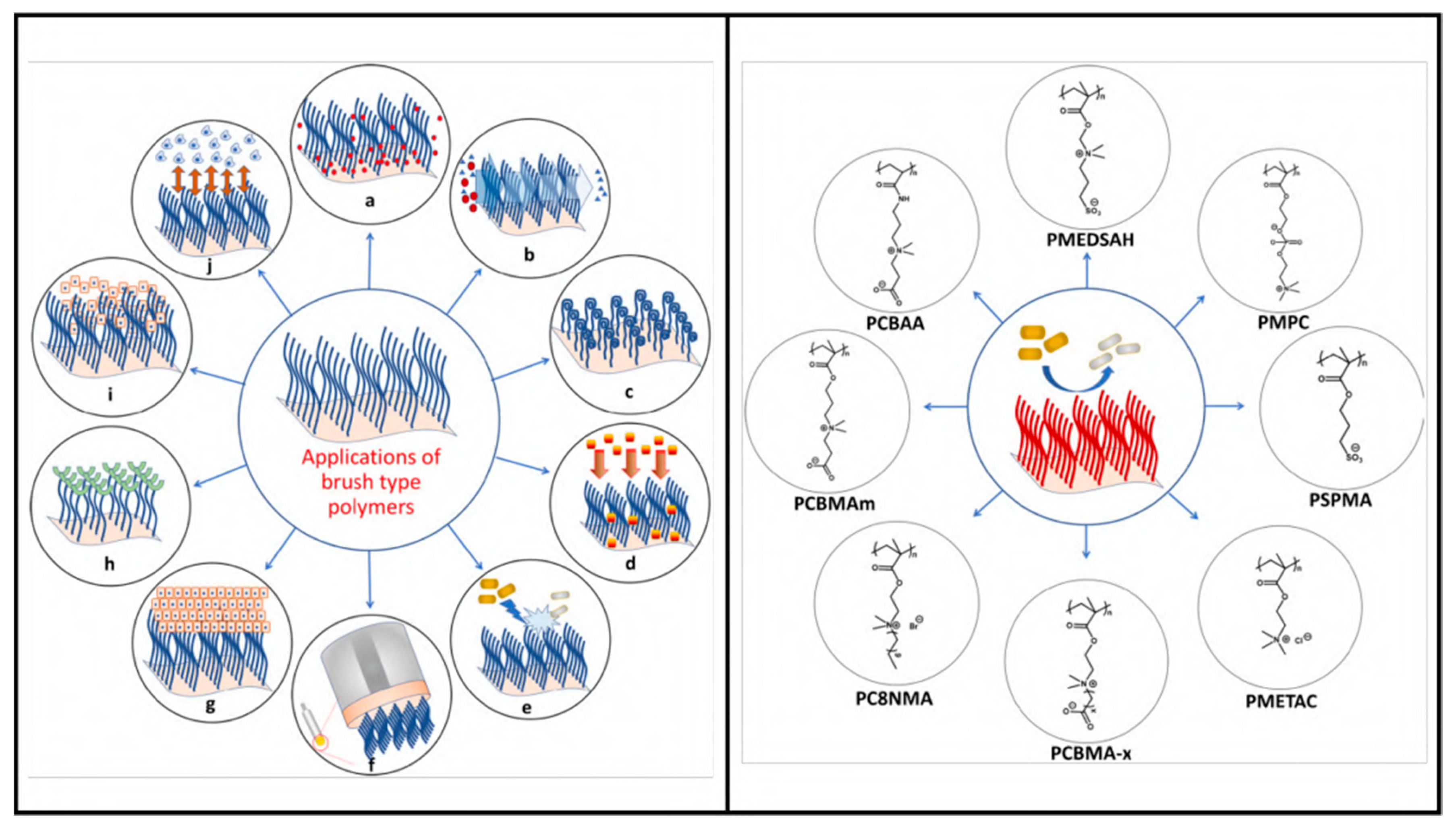 Viruses 15 00640 g013 Viruses 15 00640 g013