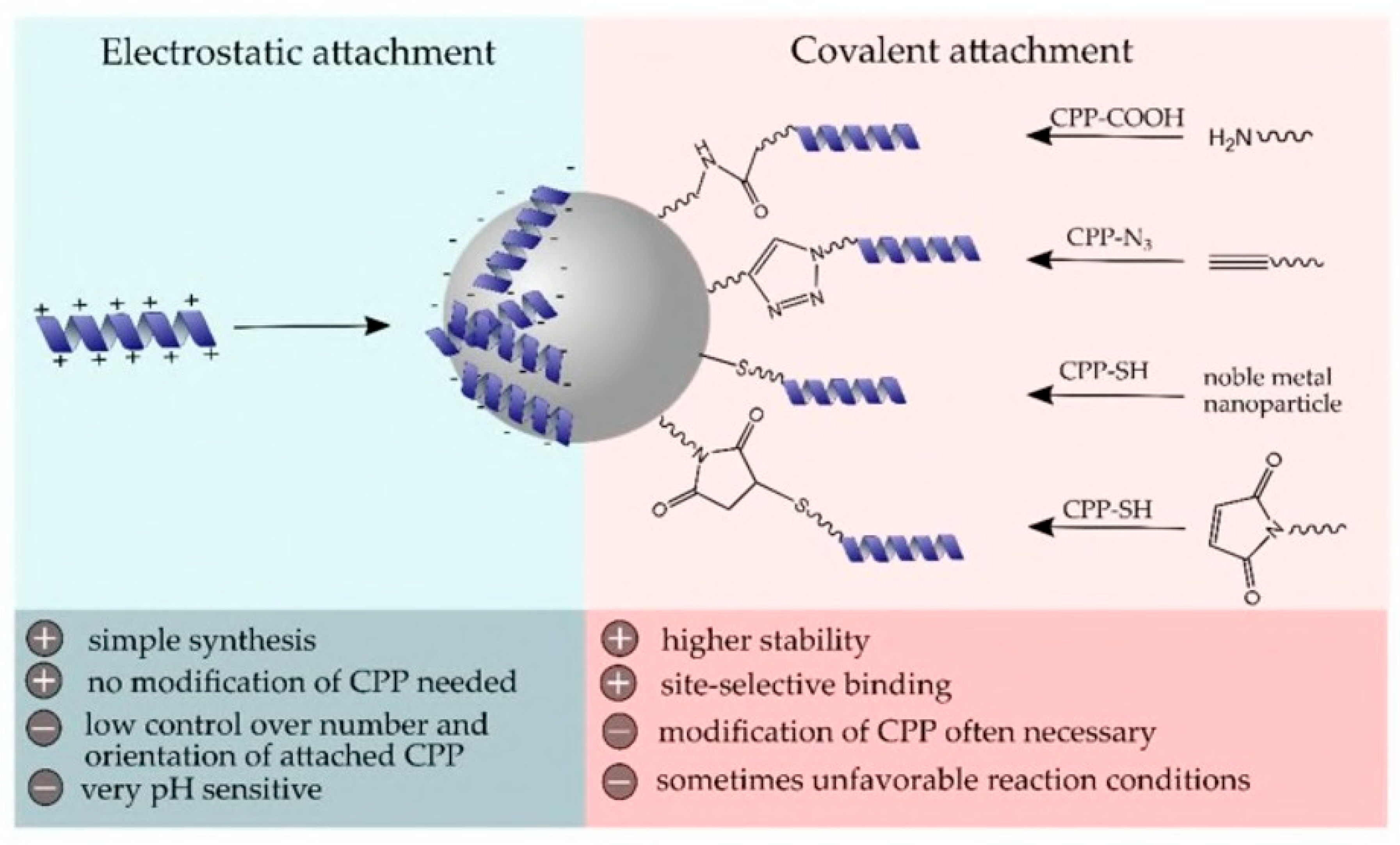 Viruses 15 00640 g014 Viruses 15 00640 g014