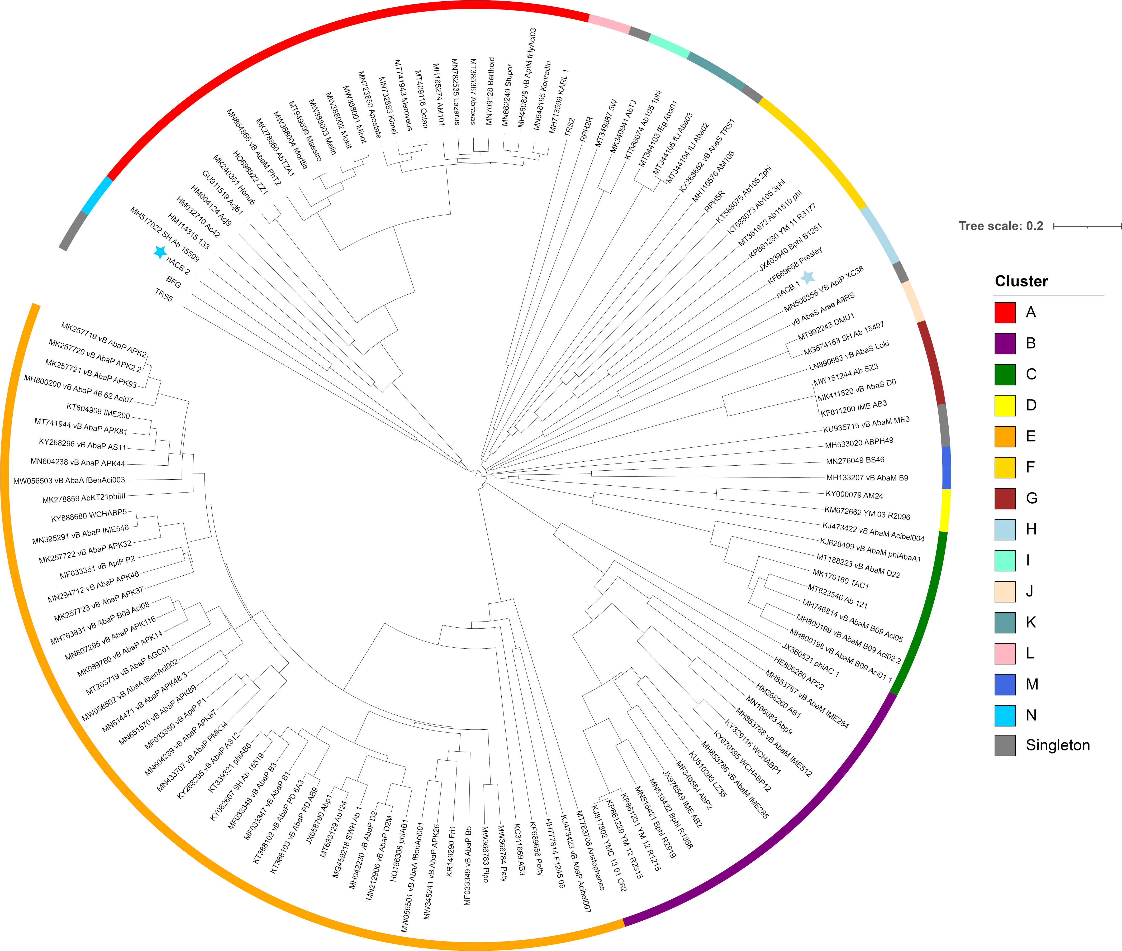 Viruses 15 00643 g004 Viruses 15 00643 g004