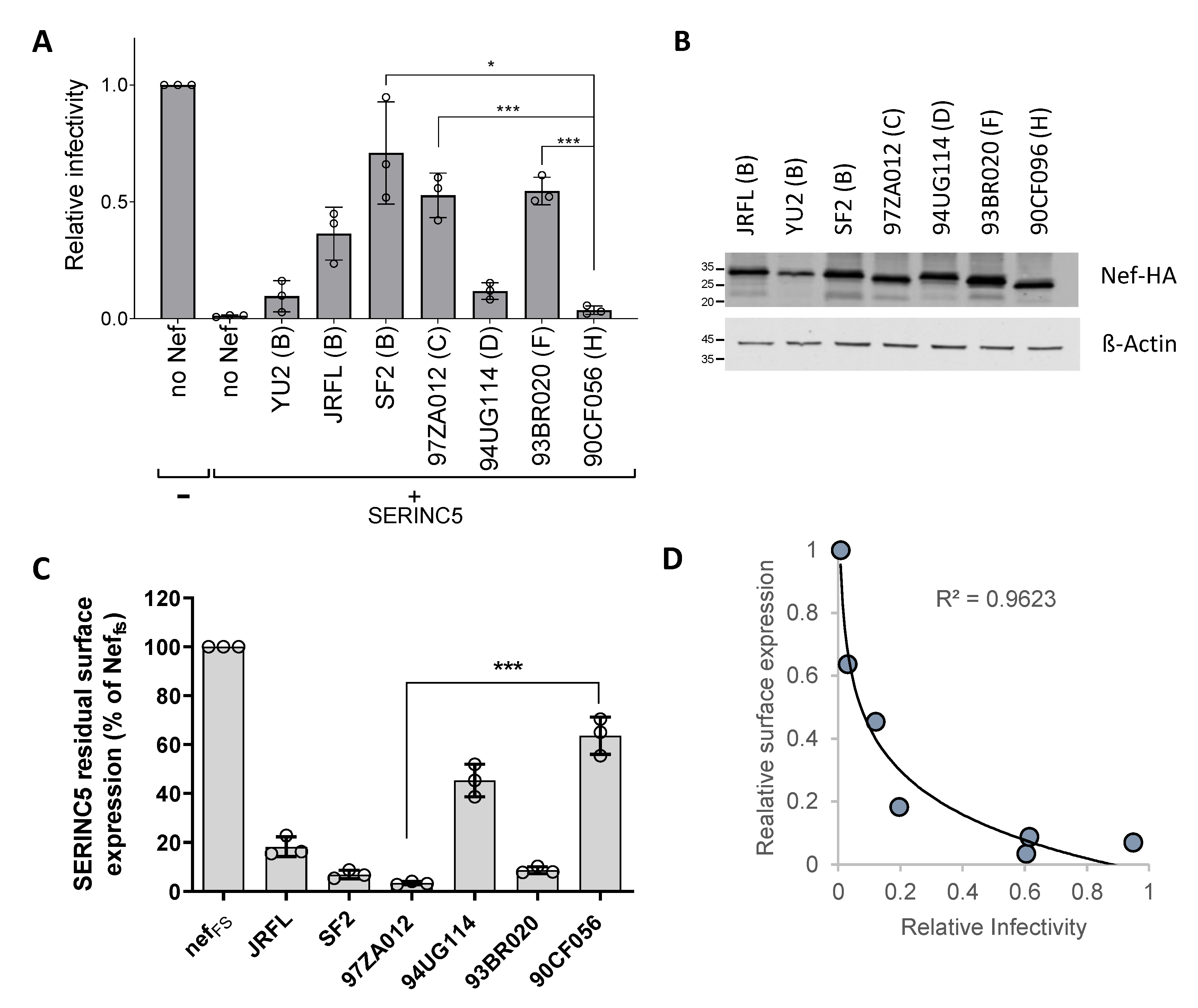 Viruses 15 00652 g001