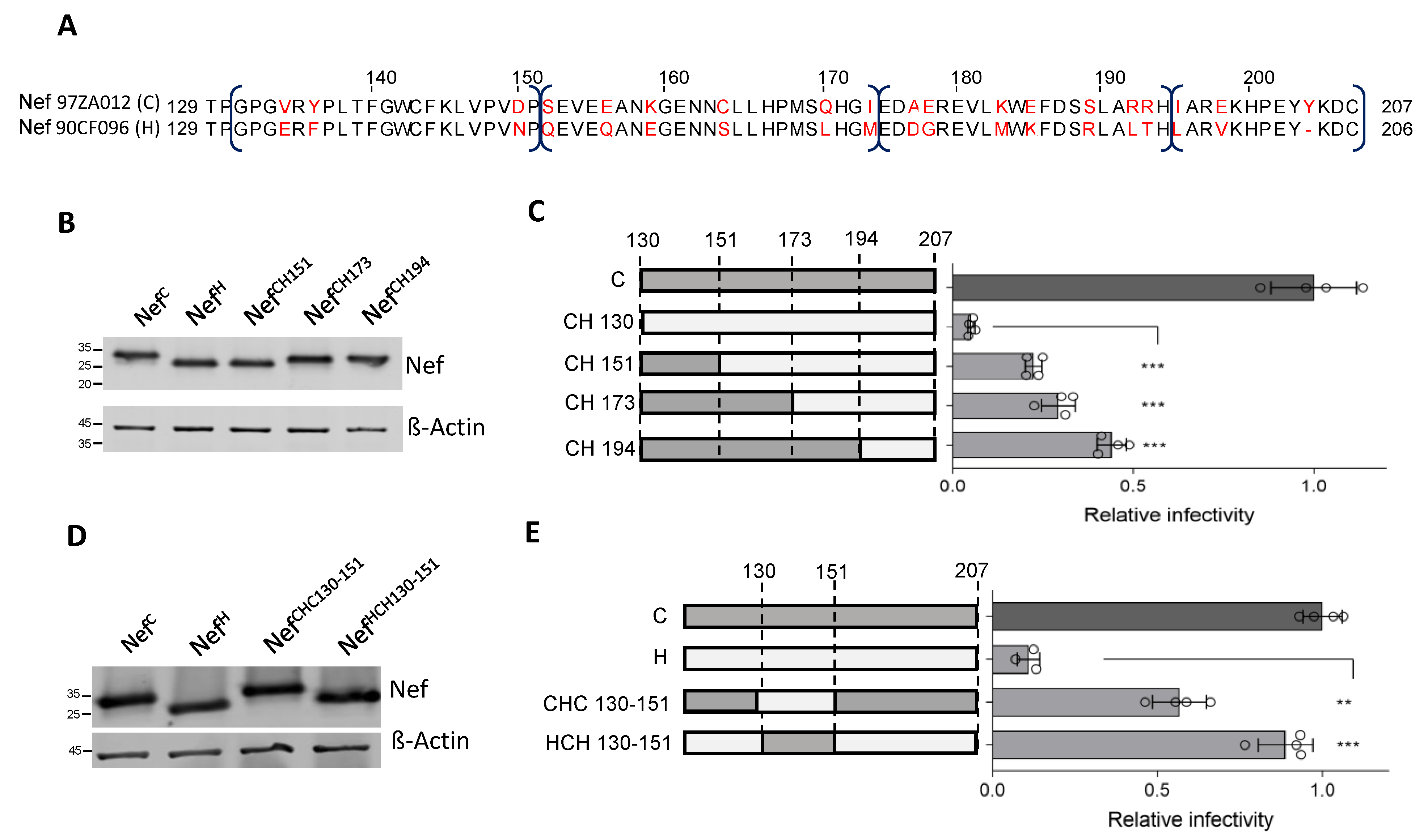 Viruses 15 00652 g003