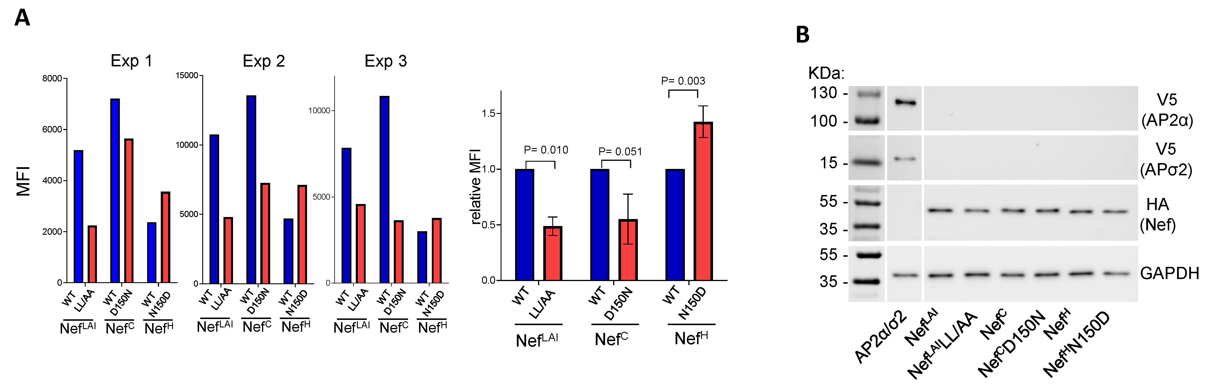 Viruses 15 00652 g006