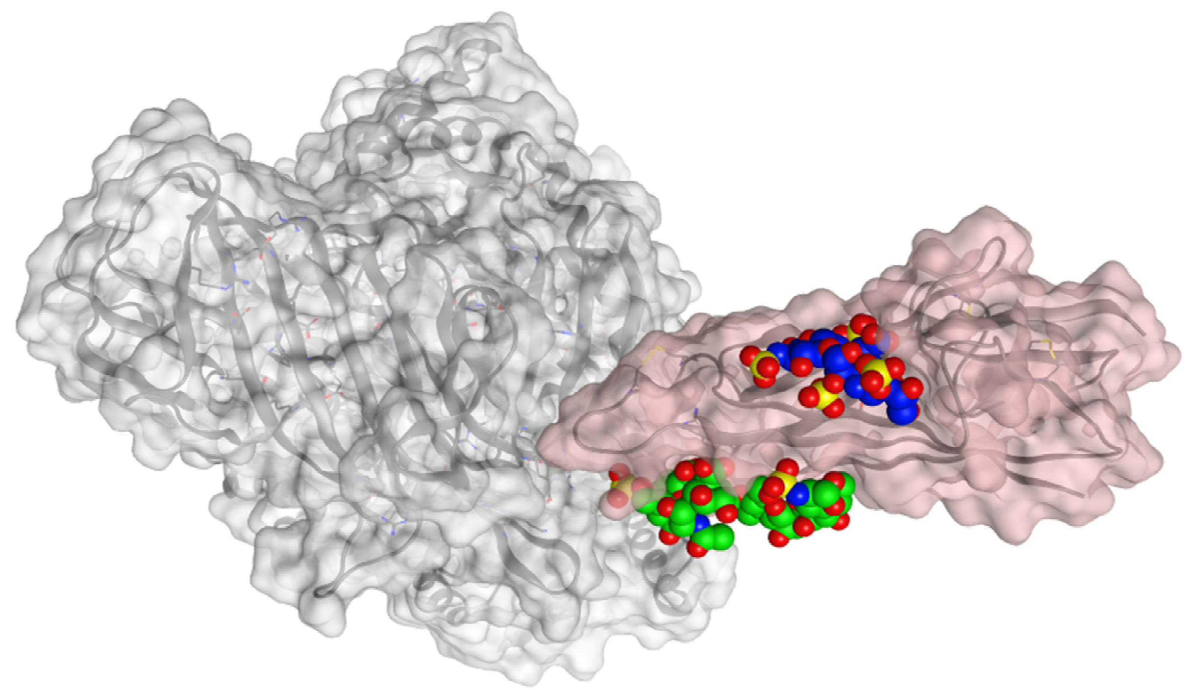 Viruses 15 00663 g010