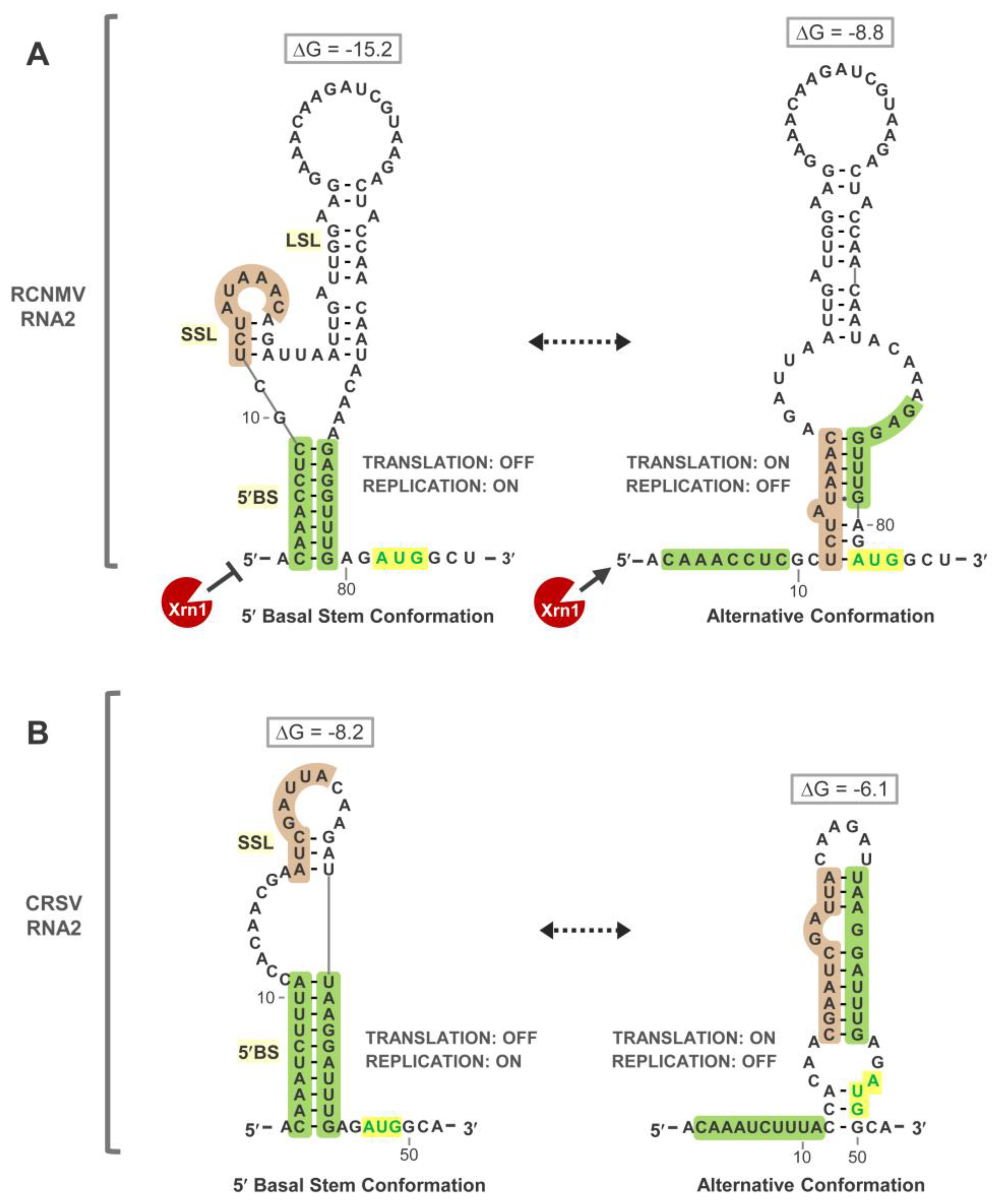 Viruses 15 00722 g004