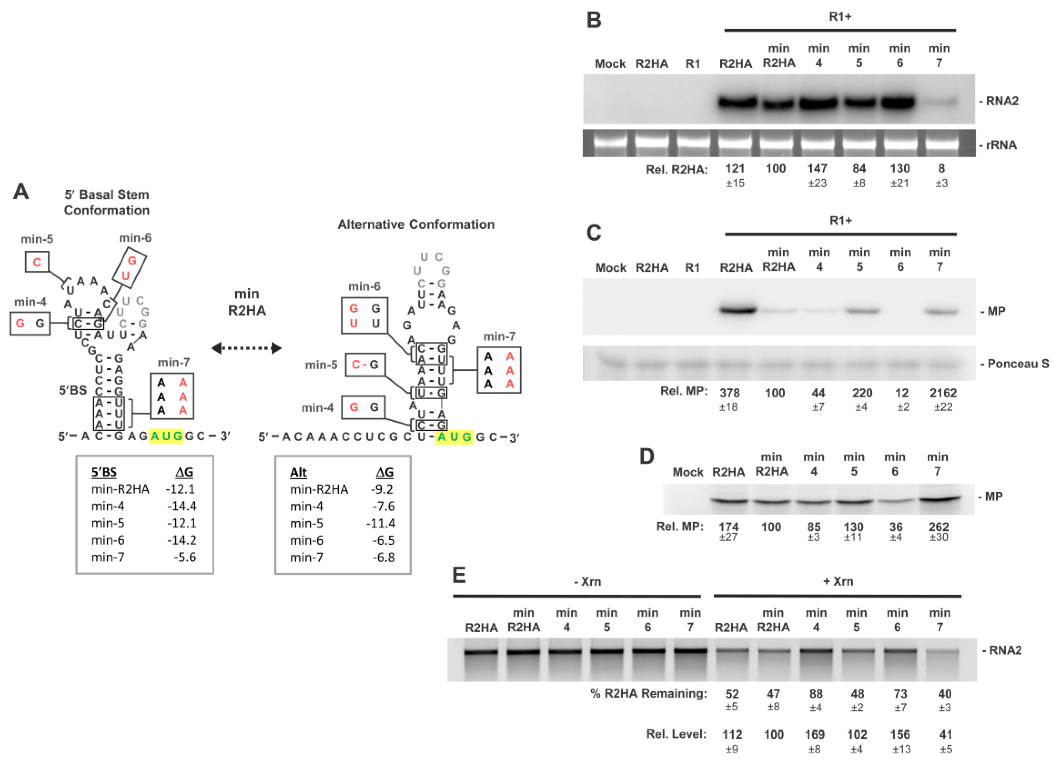 Viruses 15 00722 g006