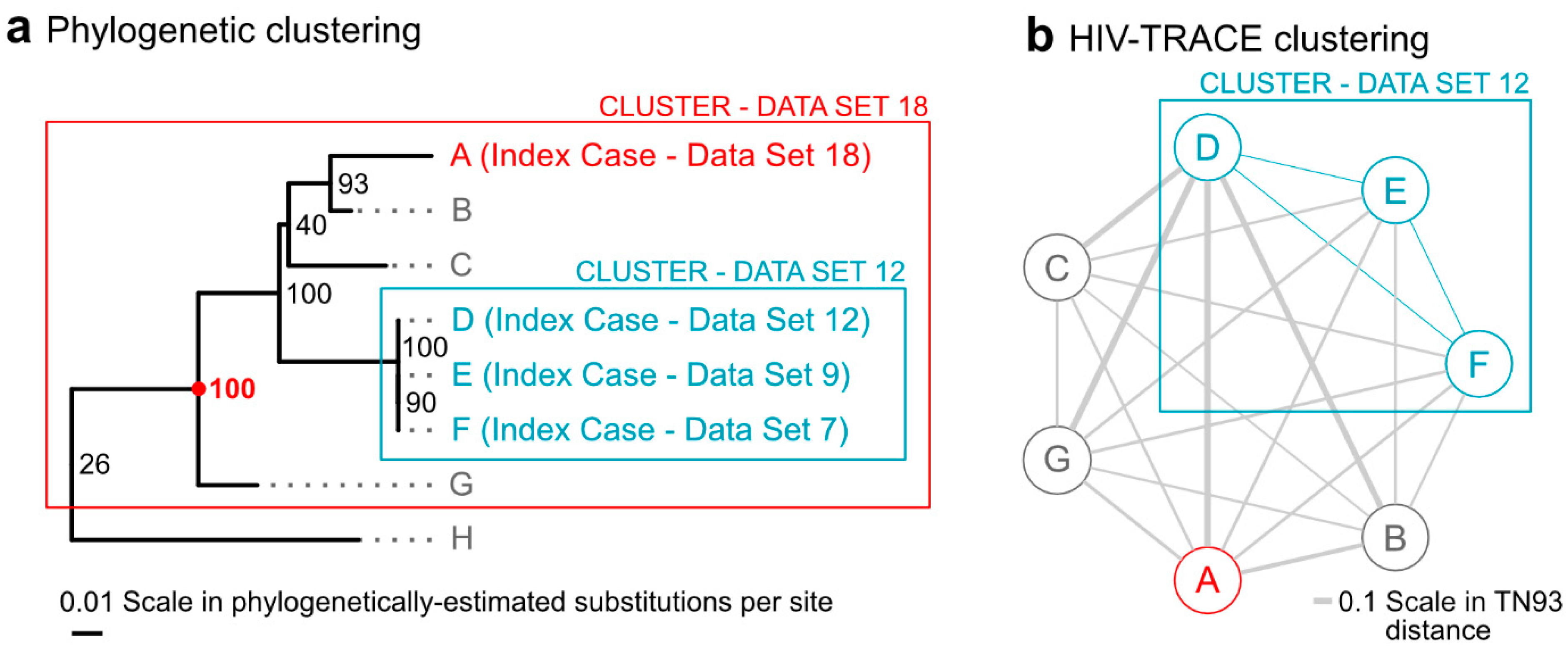 Viruses 15 00737 g002