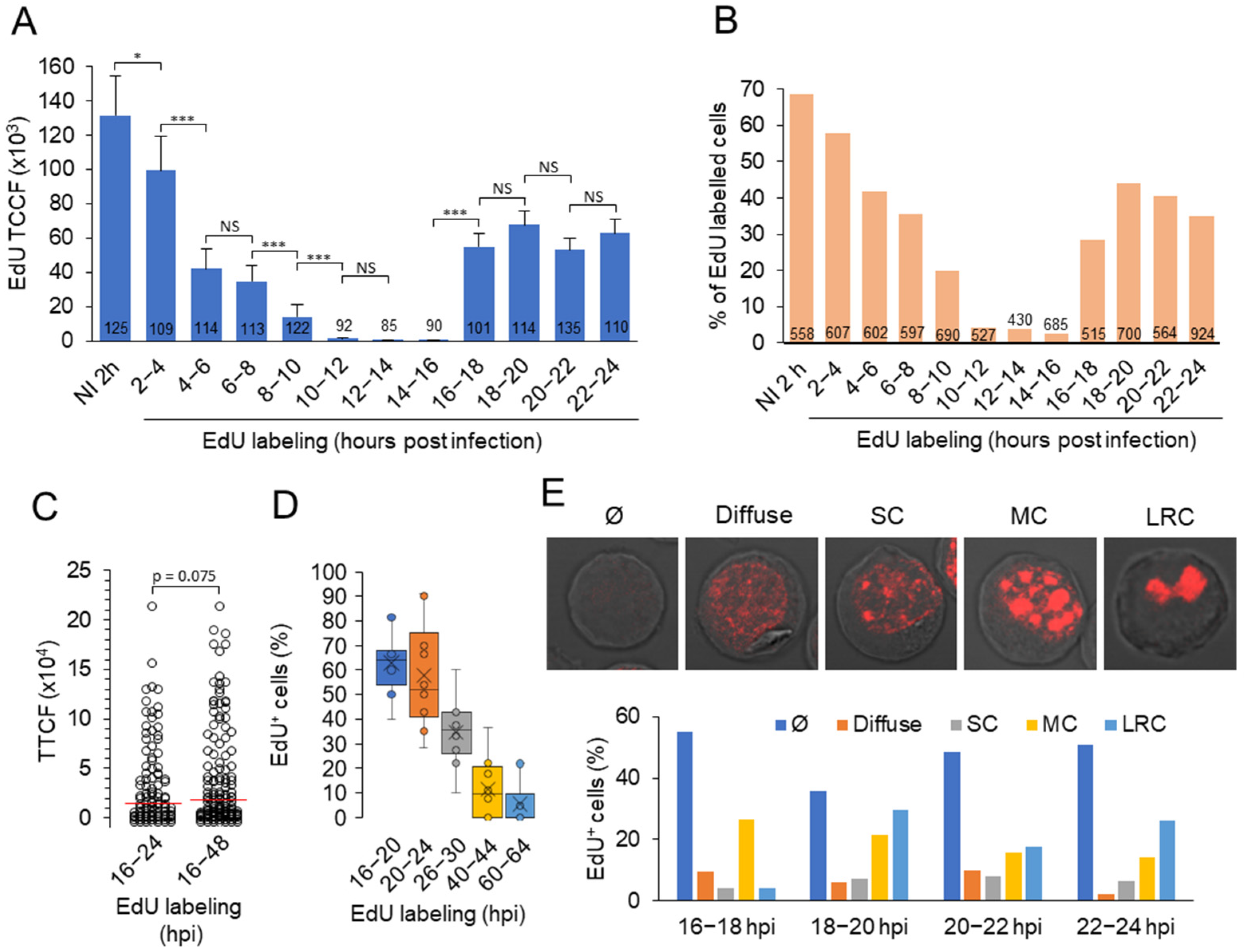 Viruses 15 00766 g005
