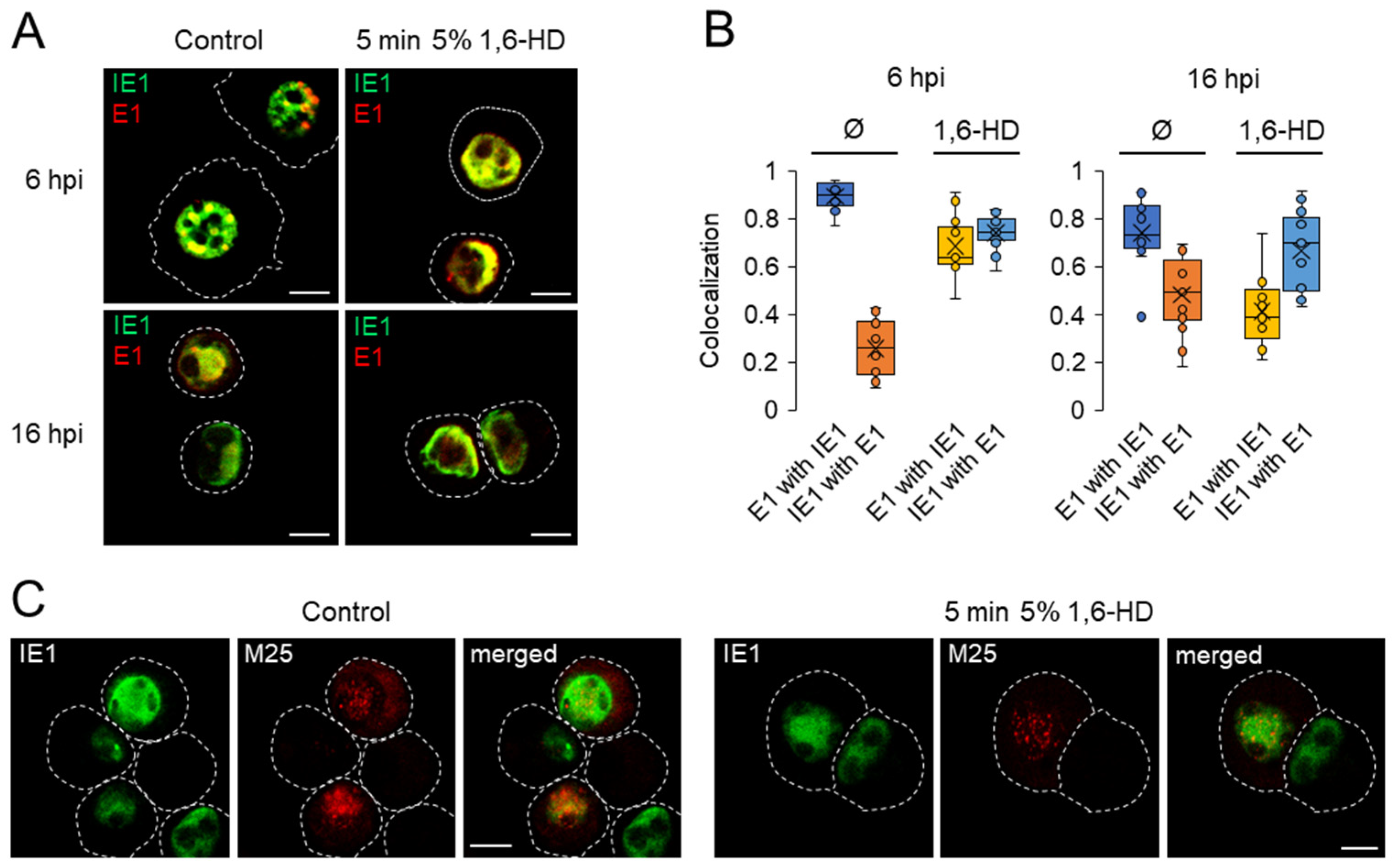 Viruses 15 00766 g008