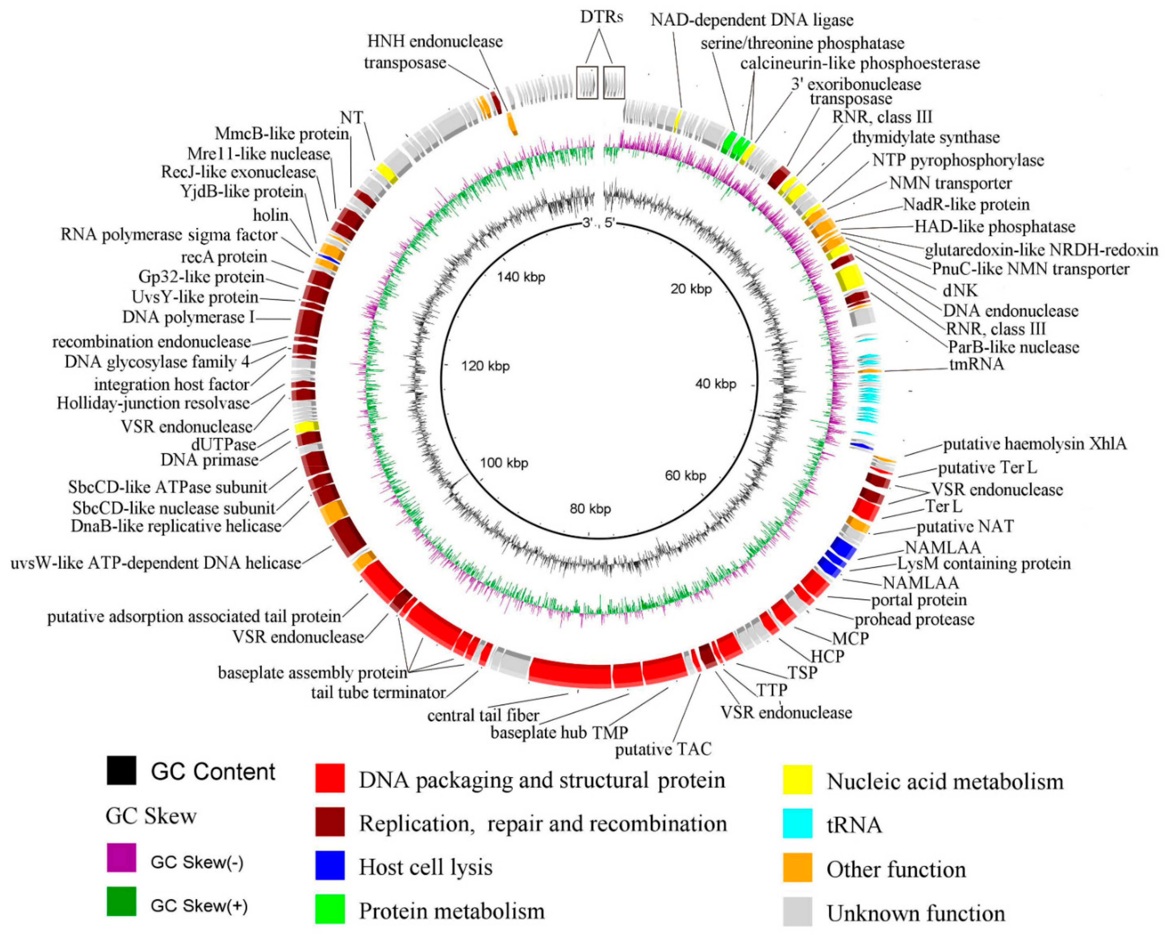 Viruses 15 00767 g005
