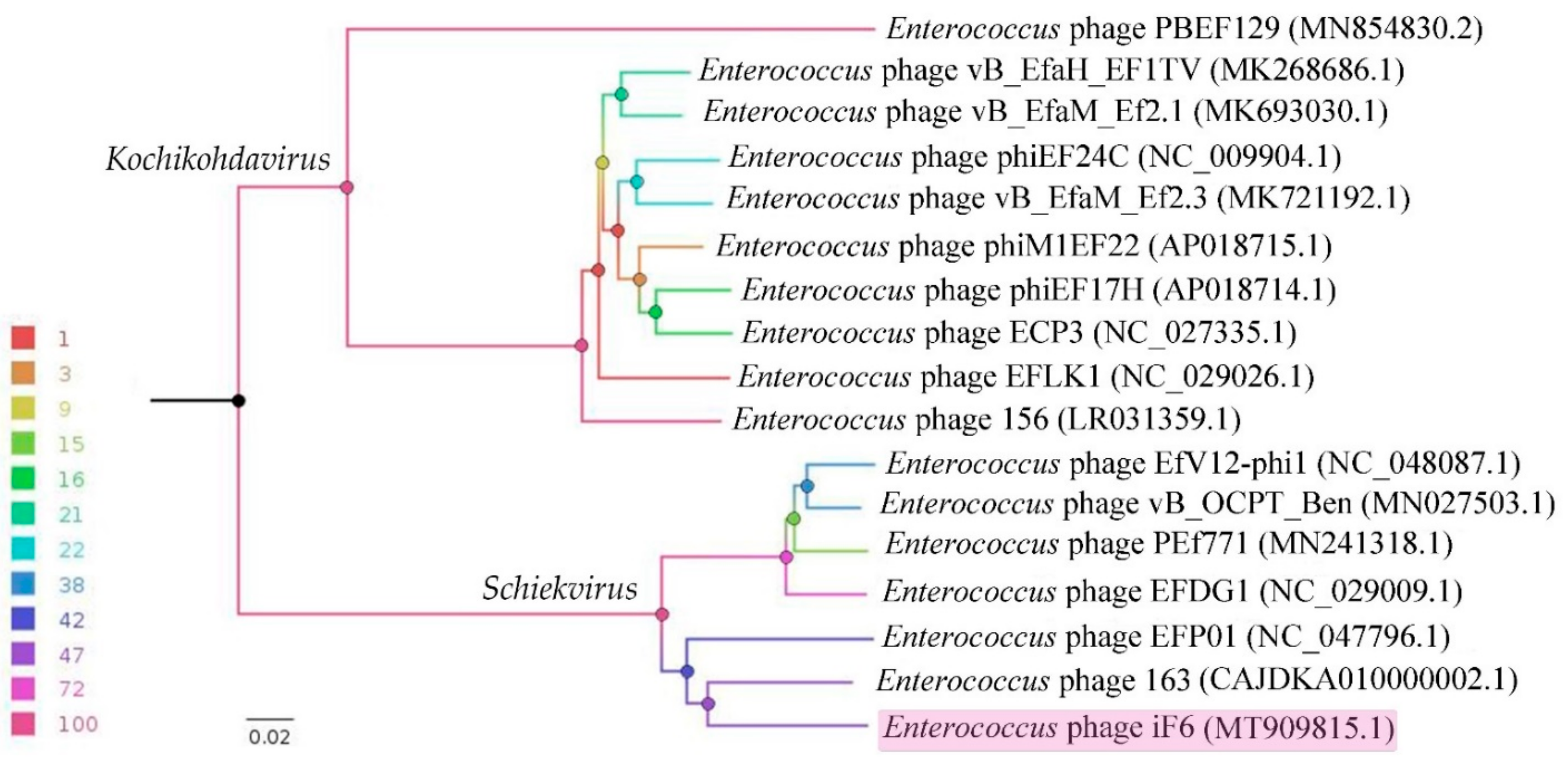 Viruses 15 00767 g006