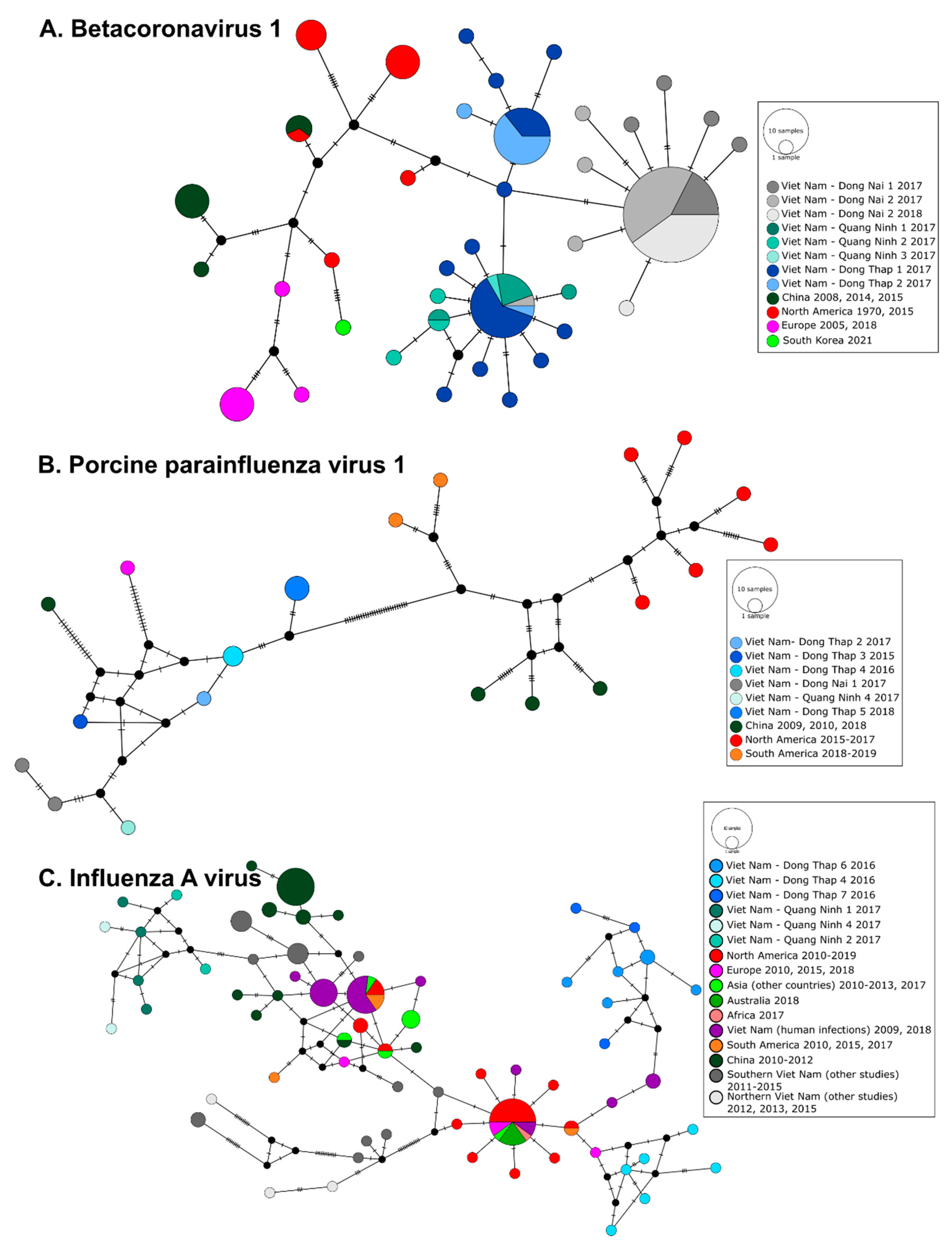 Viruses | Free Full-Text | One Health Surveillance Highlights Circulation  of Viruses with Zoonotic Potential in Bats, Pigs, and Humans in Viet Nam