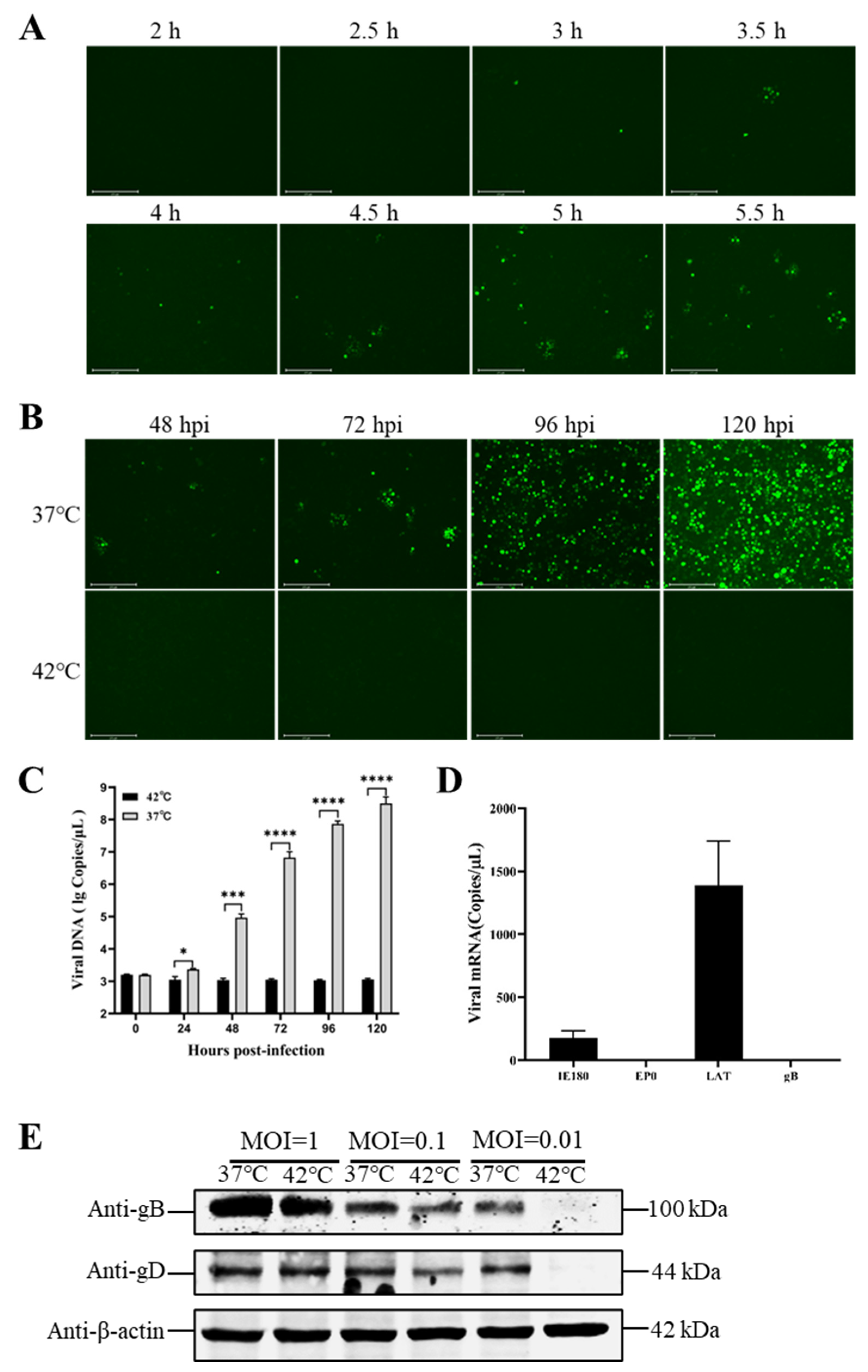 Viruses 15 00808 g003 Viruses 15 00808 g003