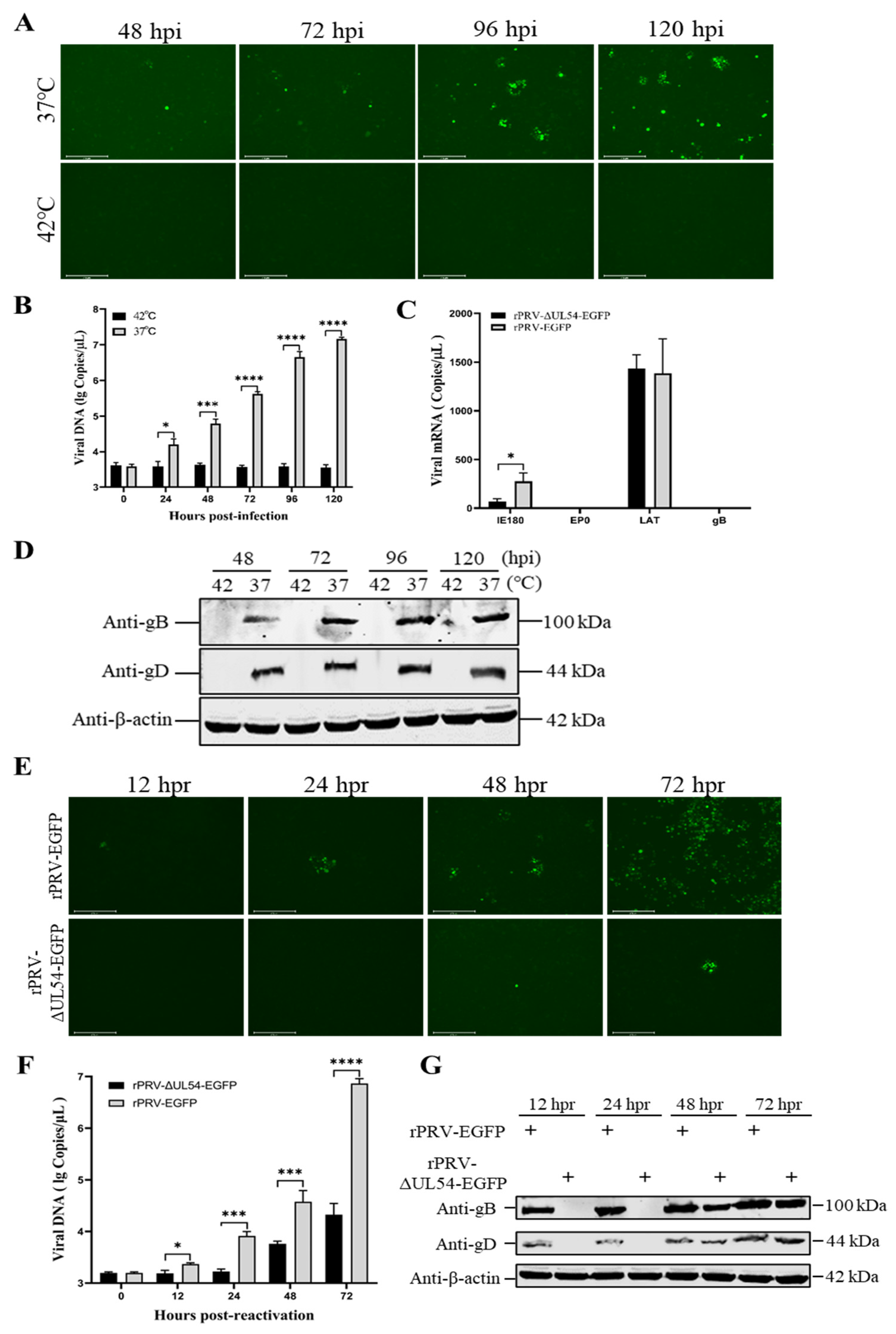 Viruses 15 00808 g006 Viruses 15 00808 g006