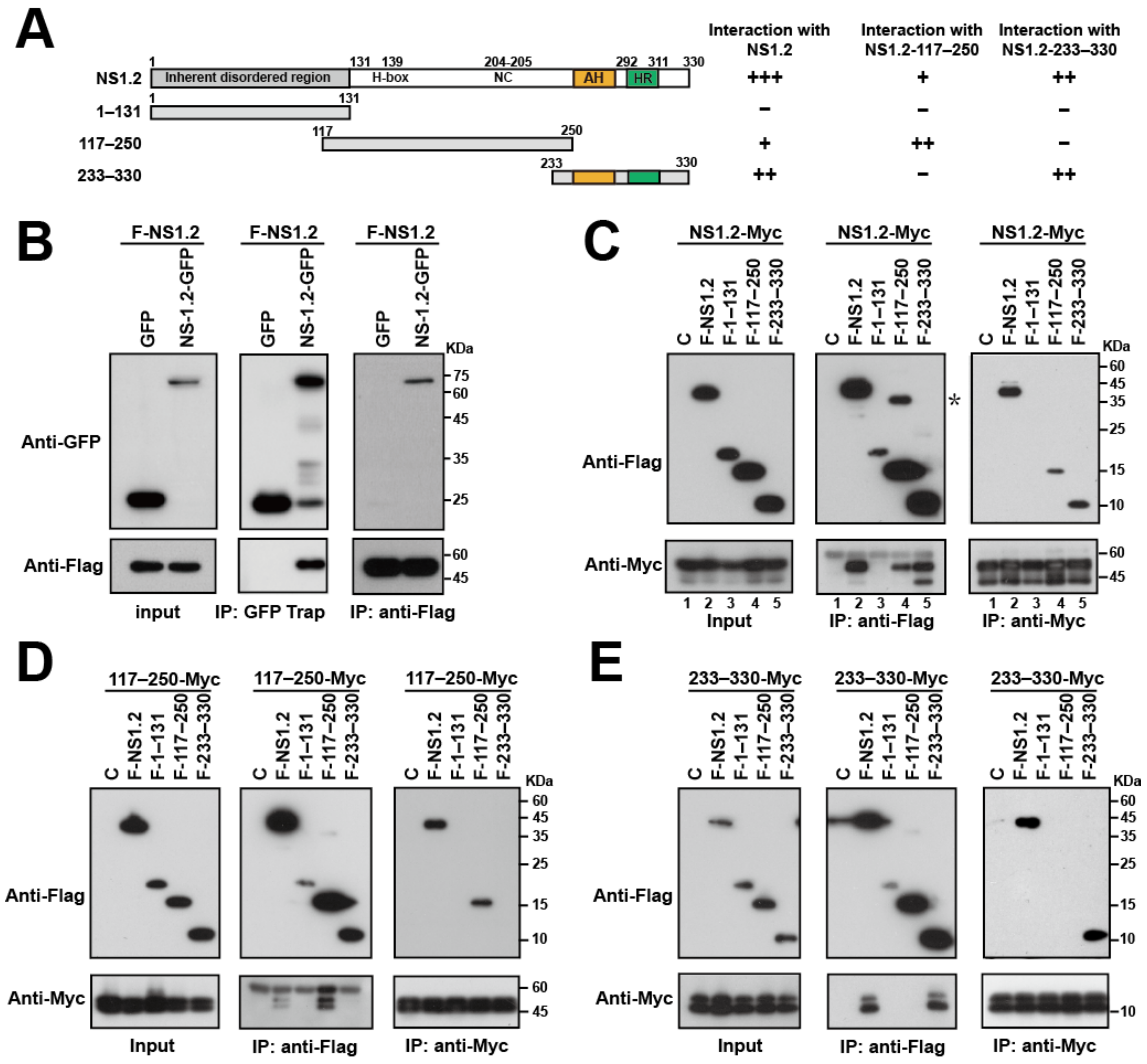 Viruses 15 00812 g004