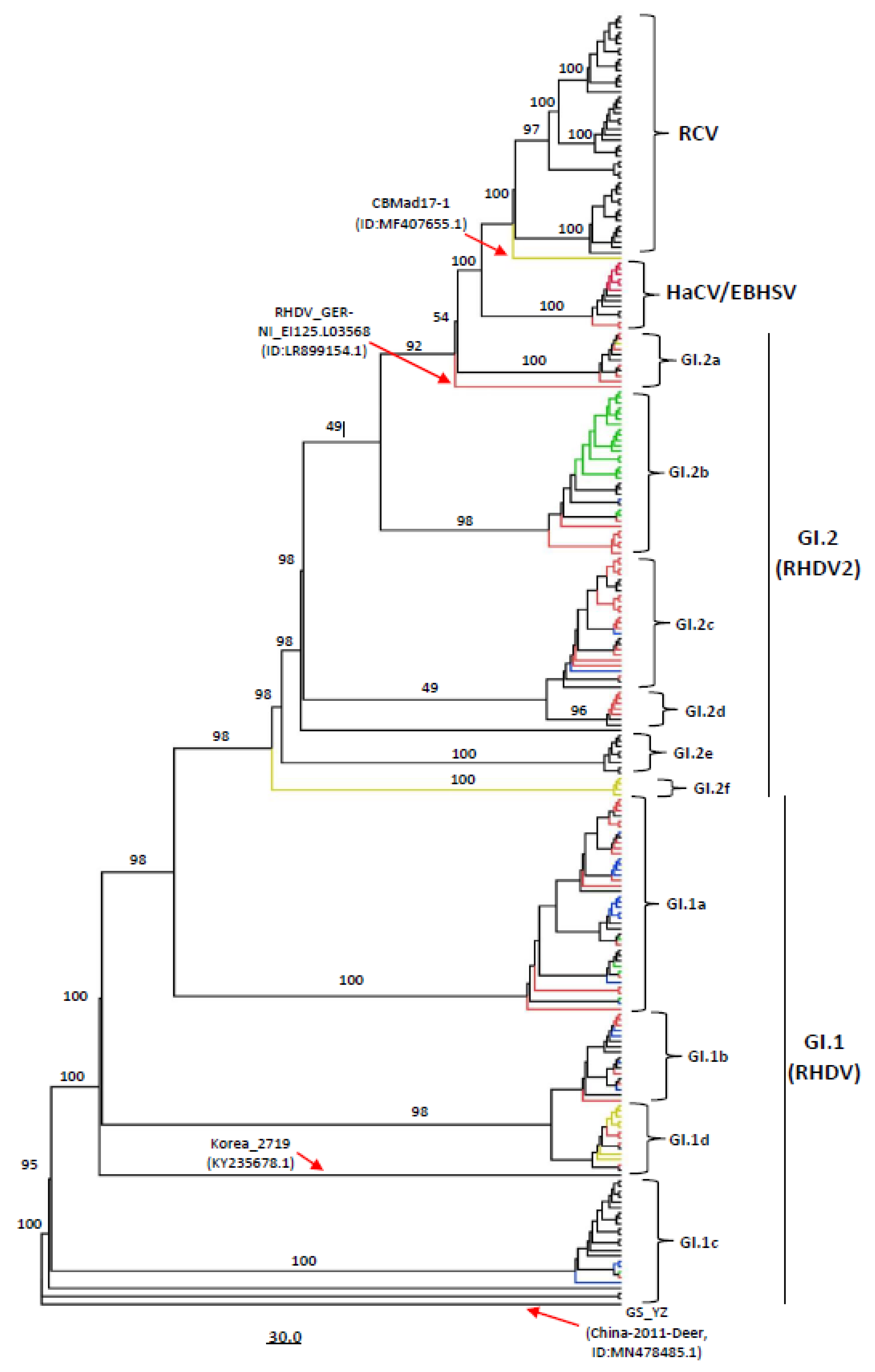 Viruses 15 00815 g001