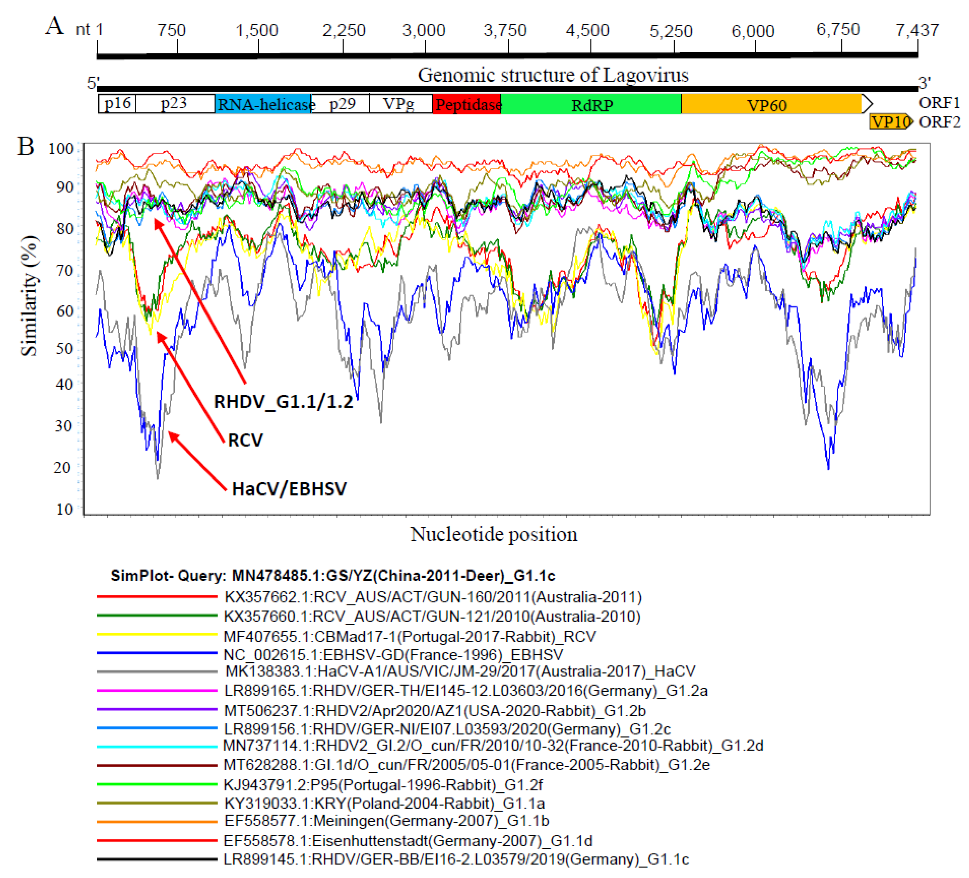 Viruses 15 00815 g002