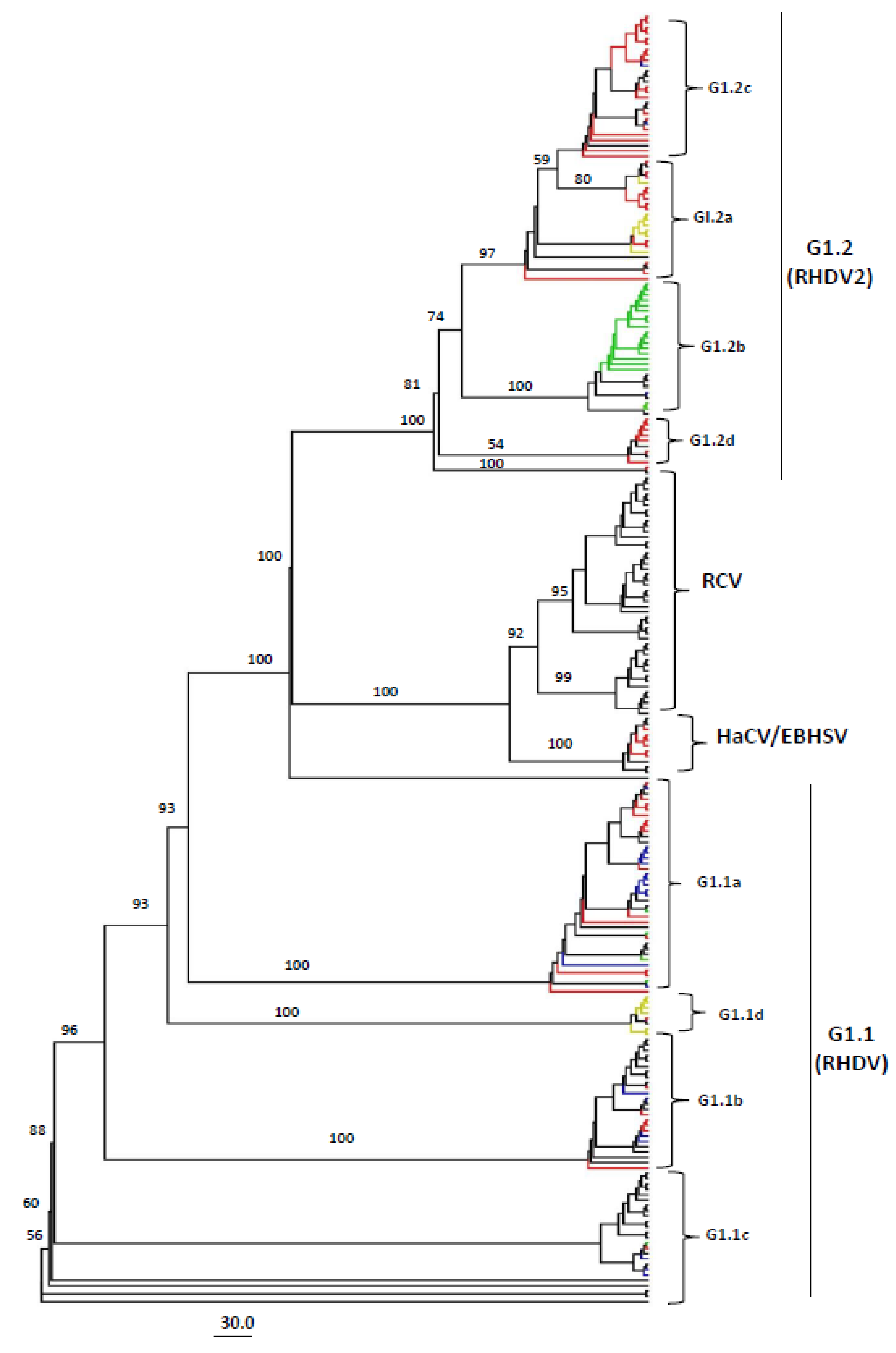 Viruses 15 00815 g003
