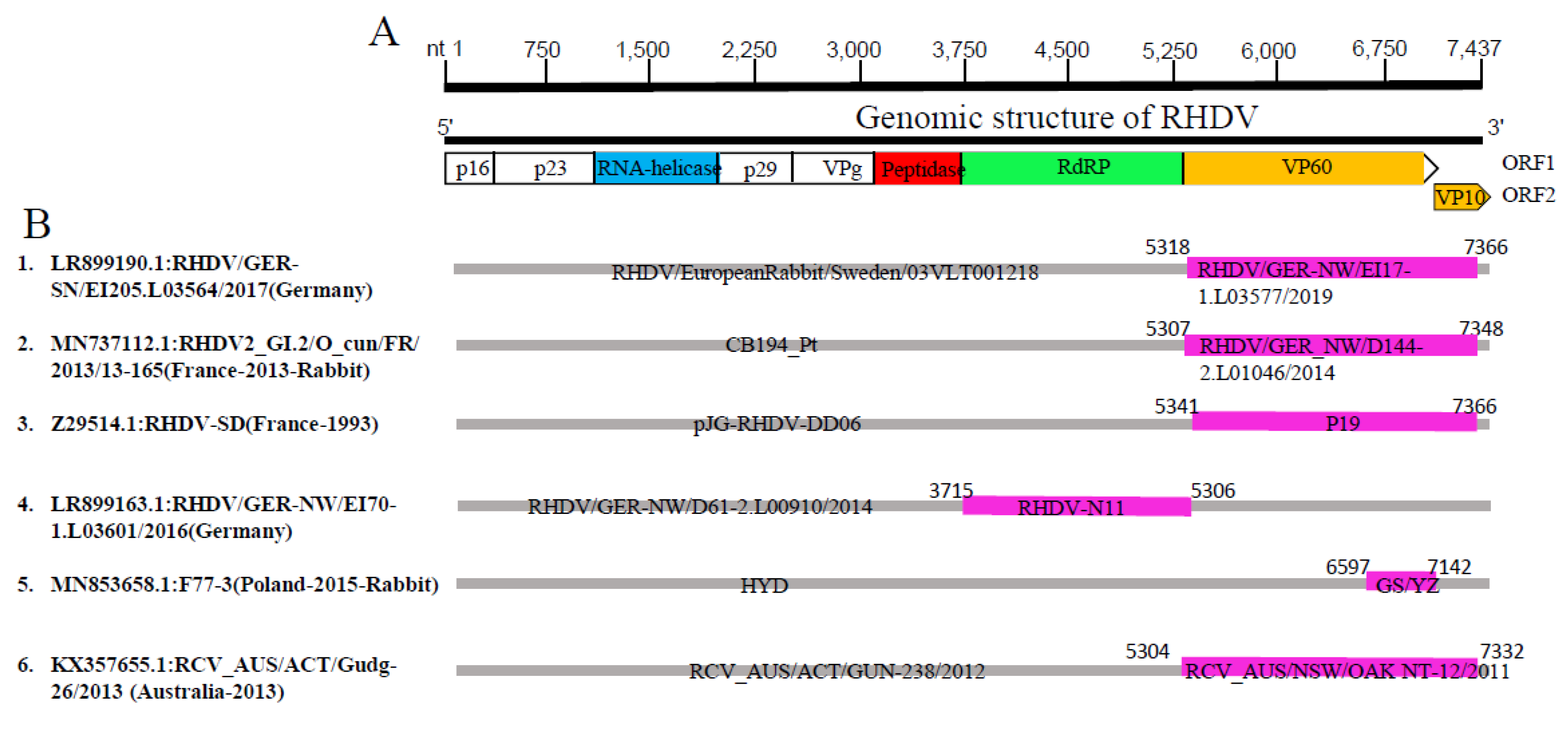 Viruses 15 00815 g005
