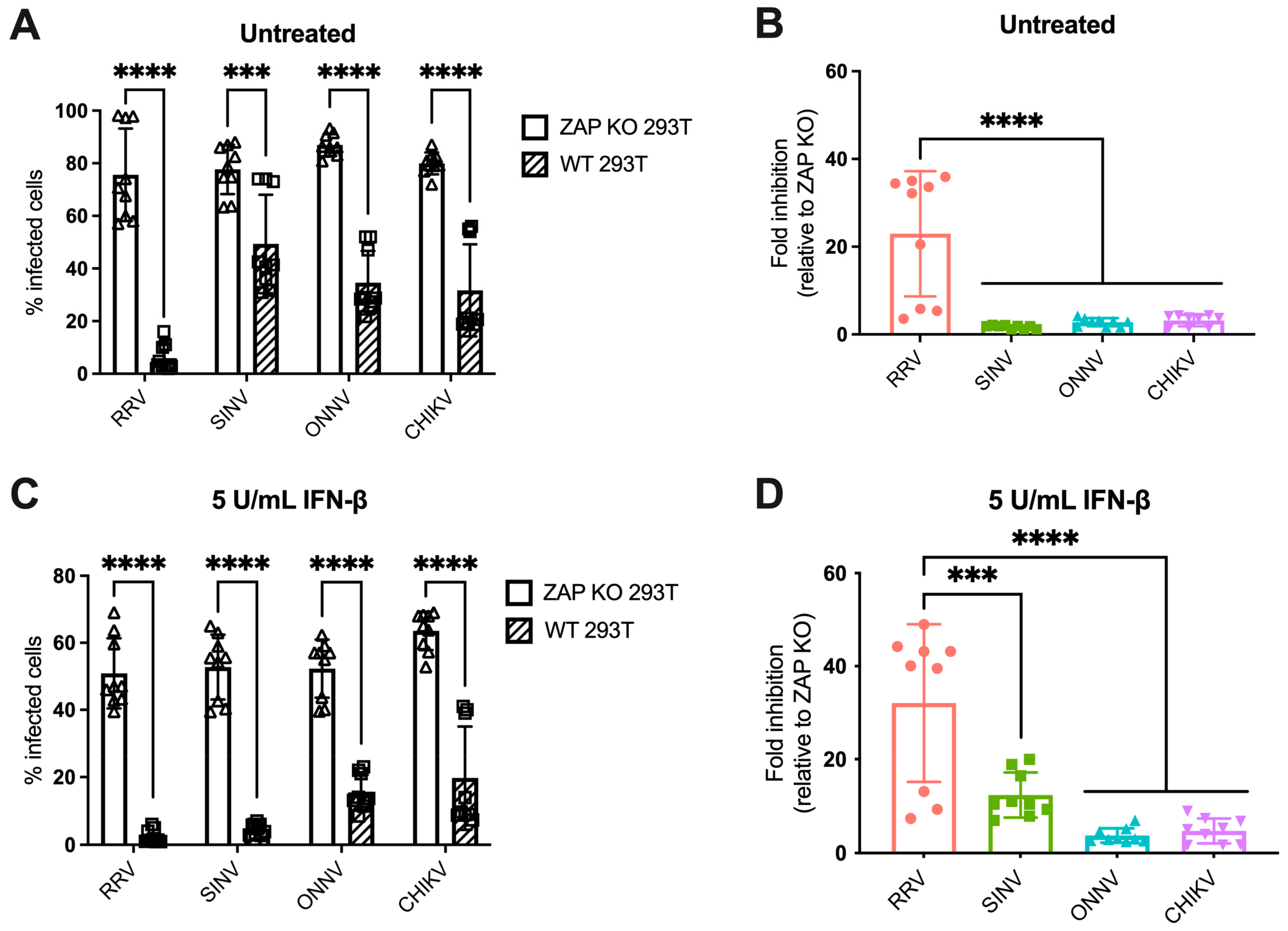 Viruses | Free Full-Text | Alphavirus Evasion of Zinc Finger