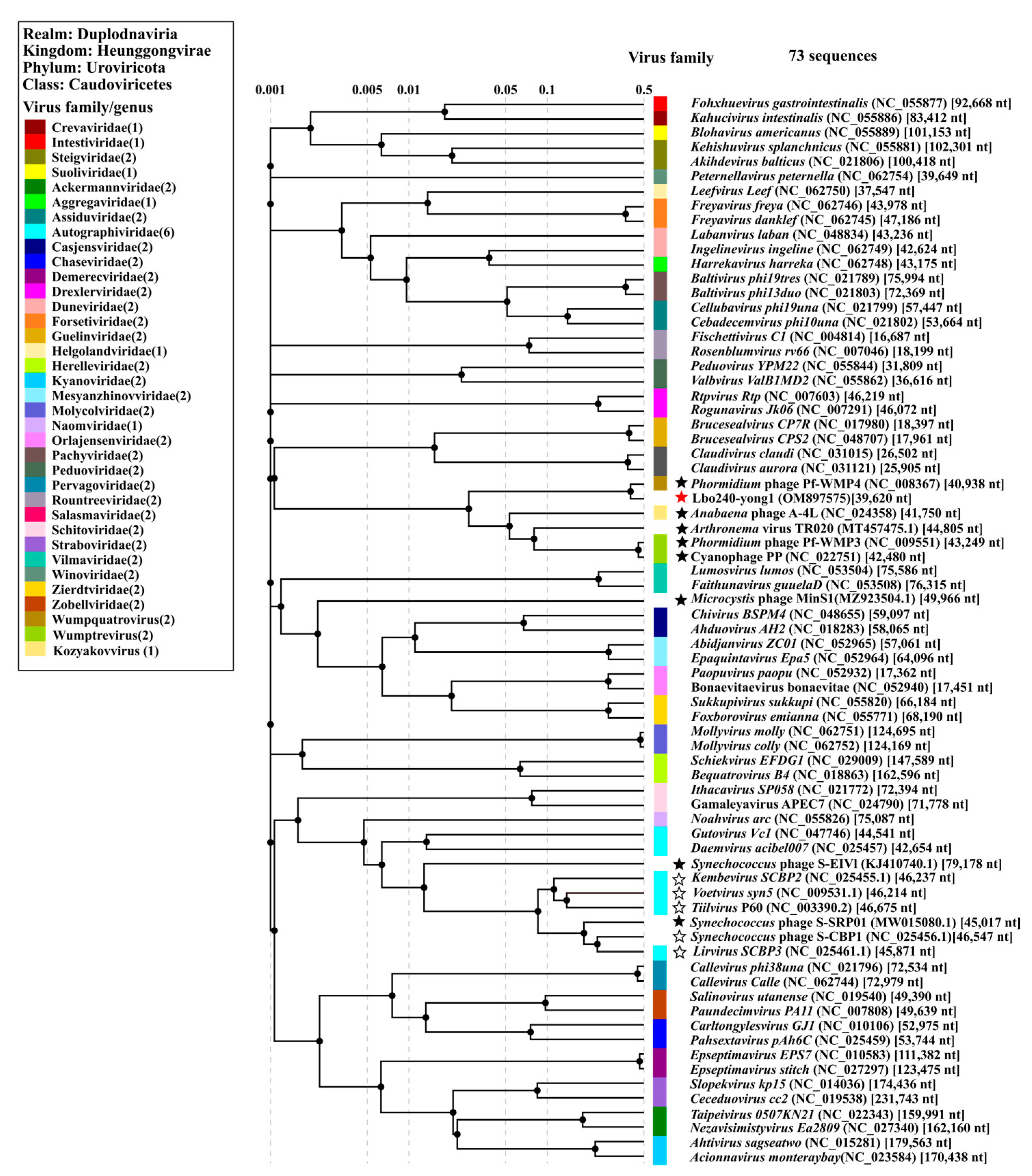 Viruses 15 00831 g004 Viruses 15 00831 g004