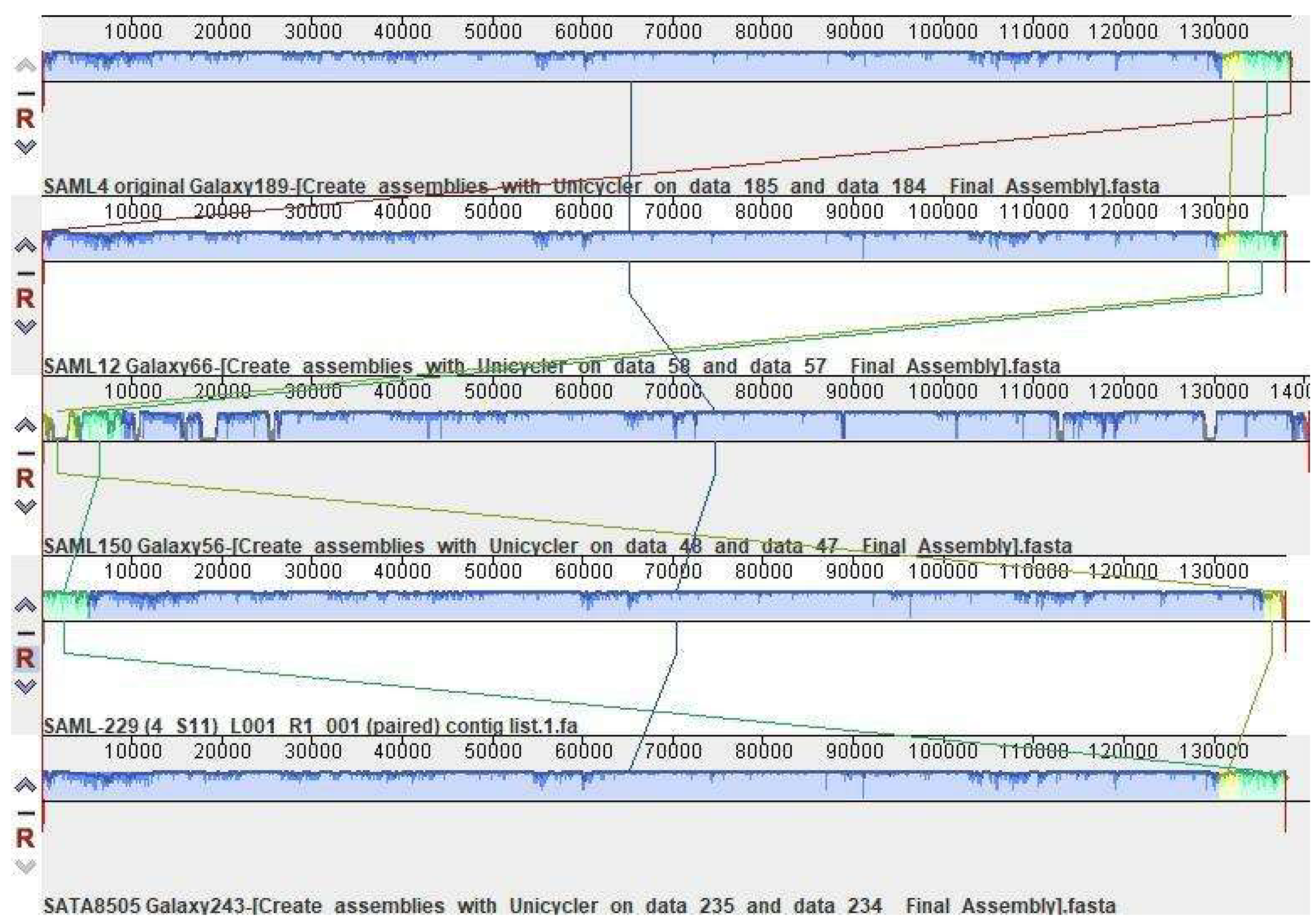 Viruses 15 00887 g001