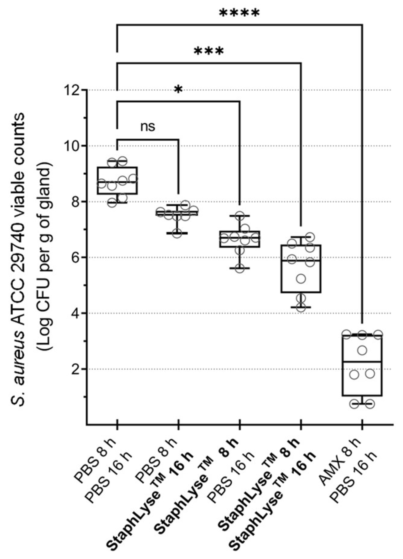 Viruses 15 00887 g008