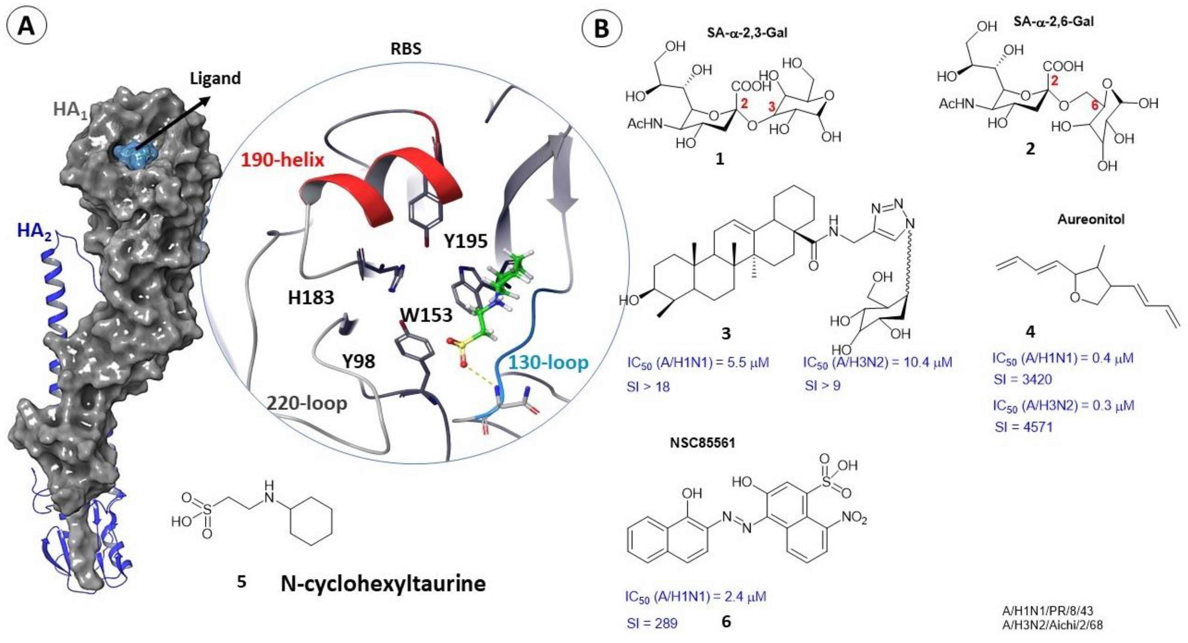 Viruses 15 00902 g004