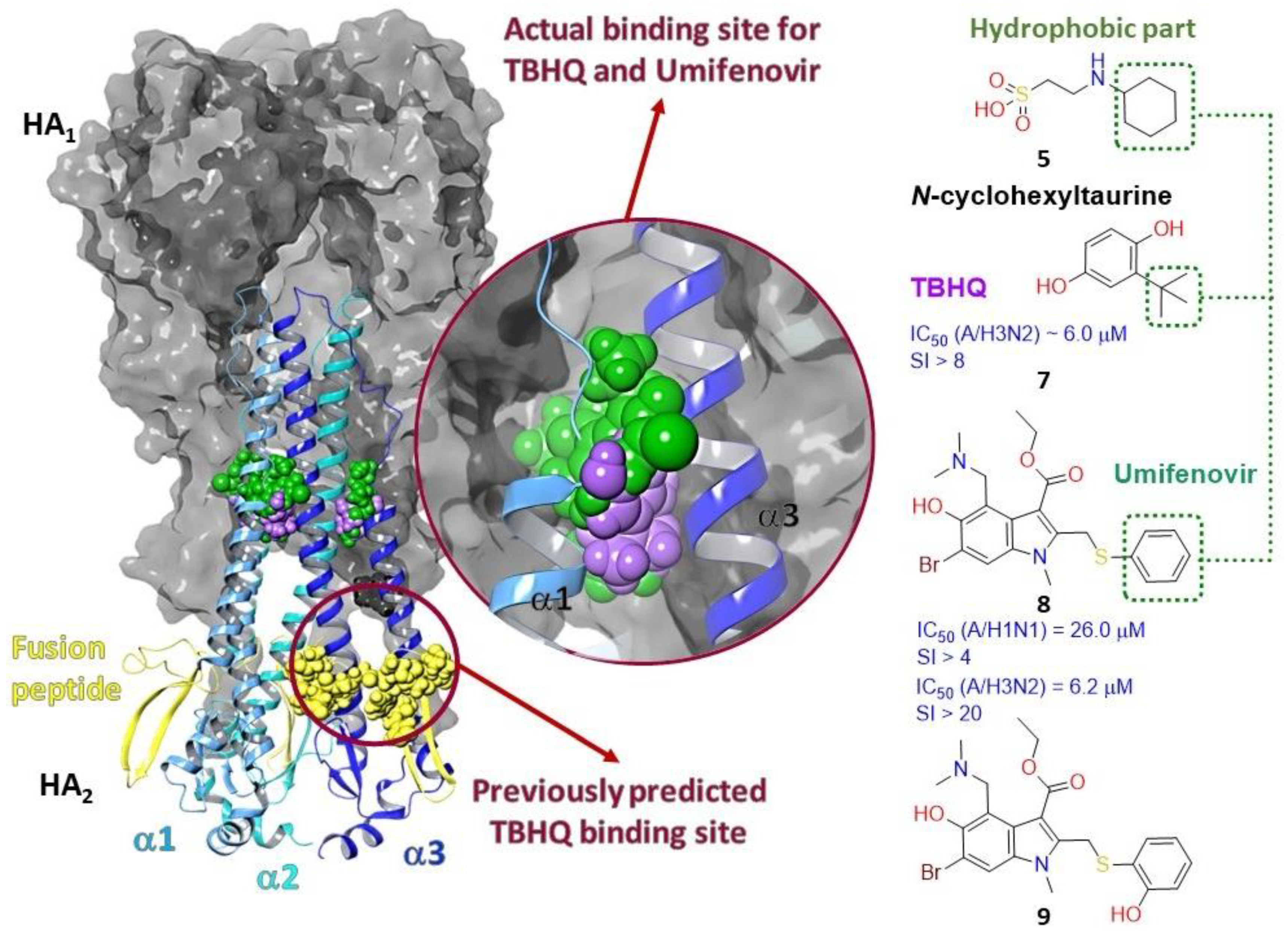 Viruses 15 00902 g005
